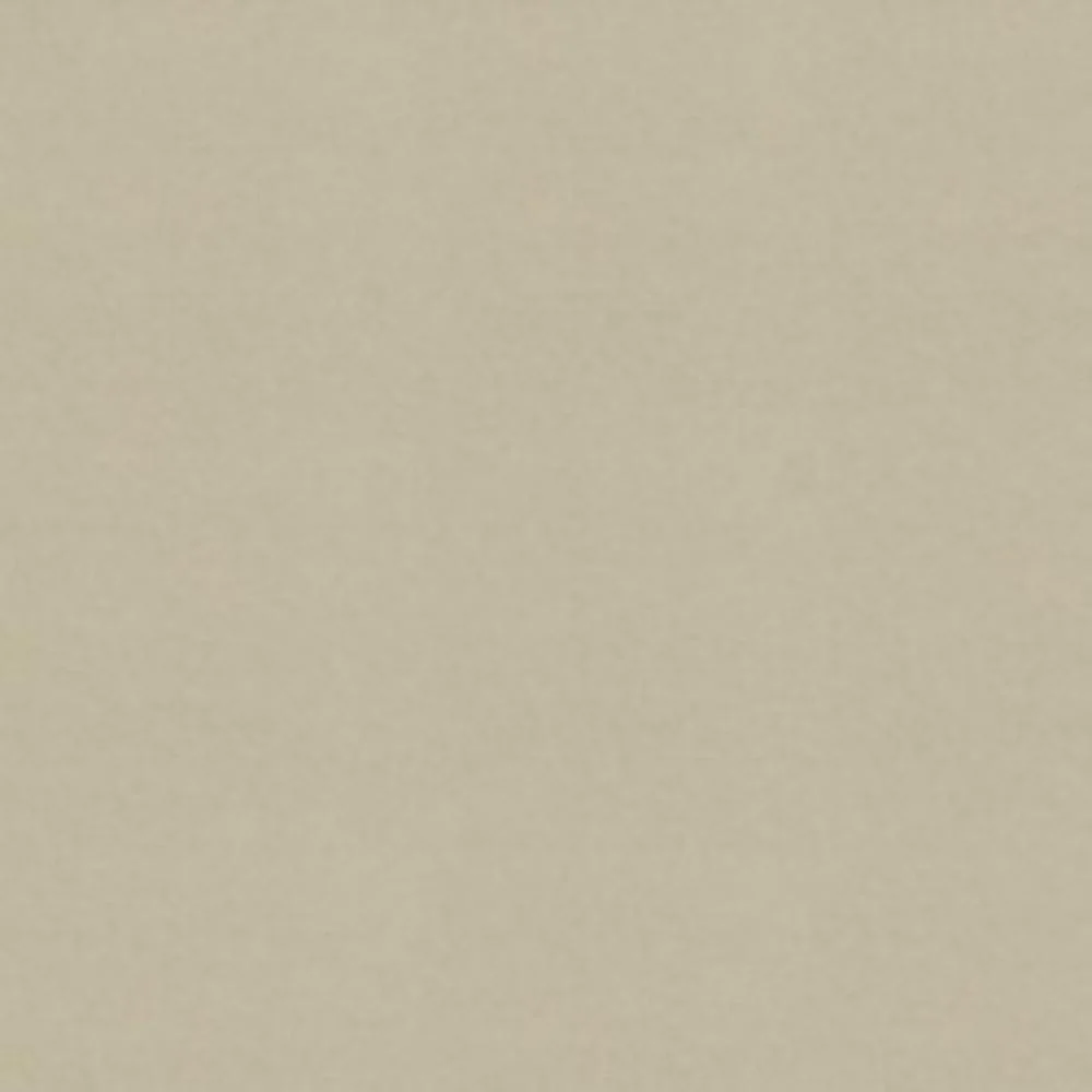 9 x 9 inch Home Decor Fabric Swatch - Healthcare Facilities fabric - Odyssey - Birch