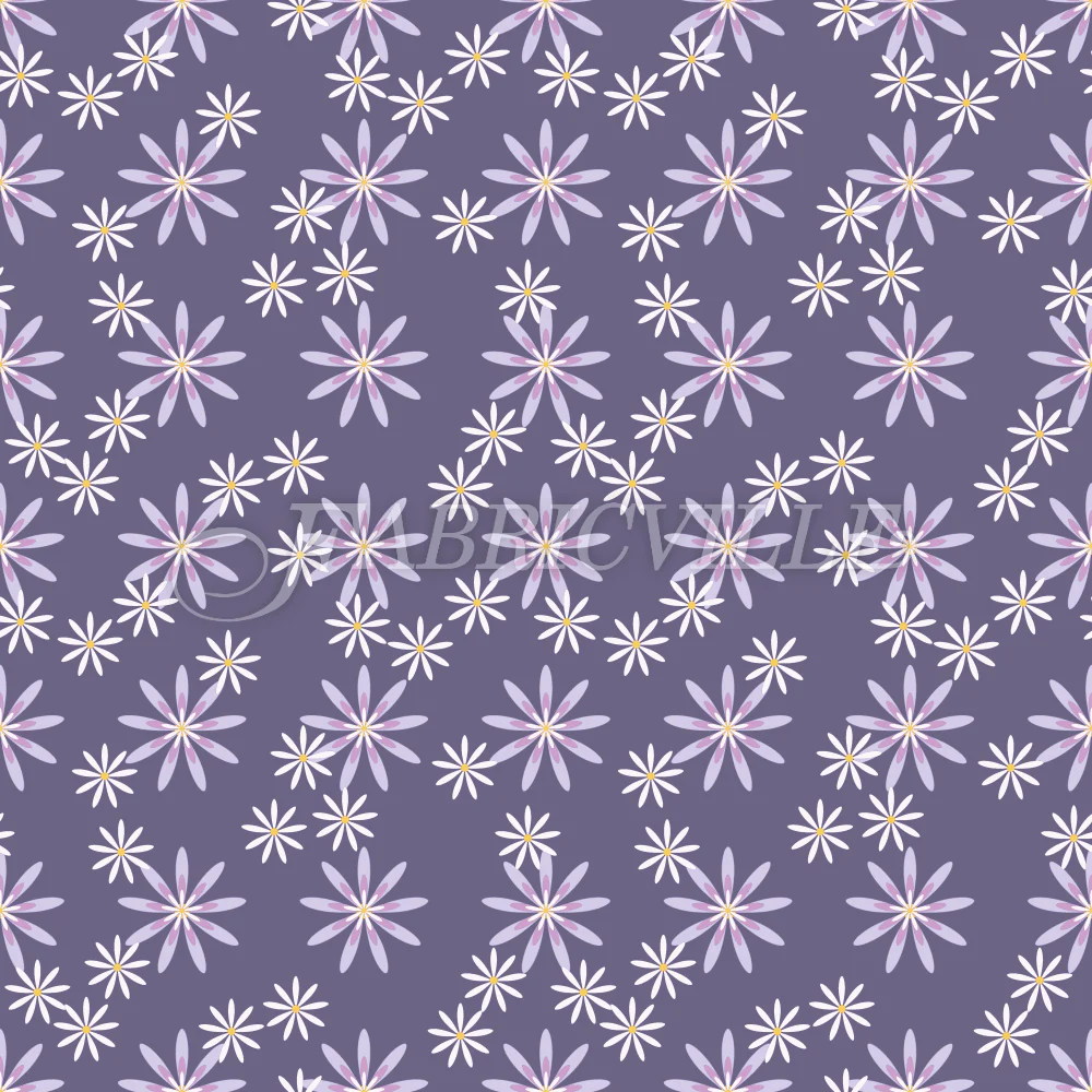 Aster