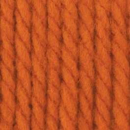 Bernat SOFTEE CHUNKY - Image 30