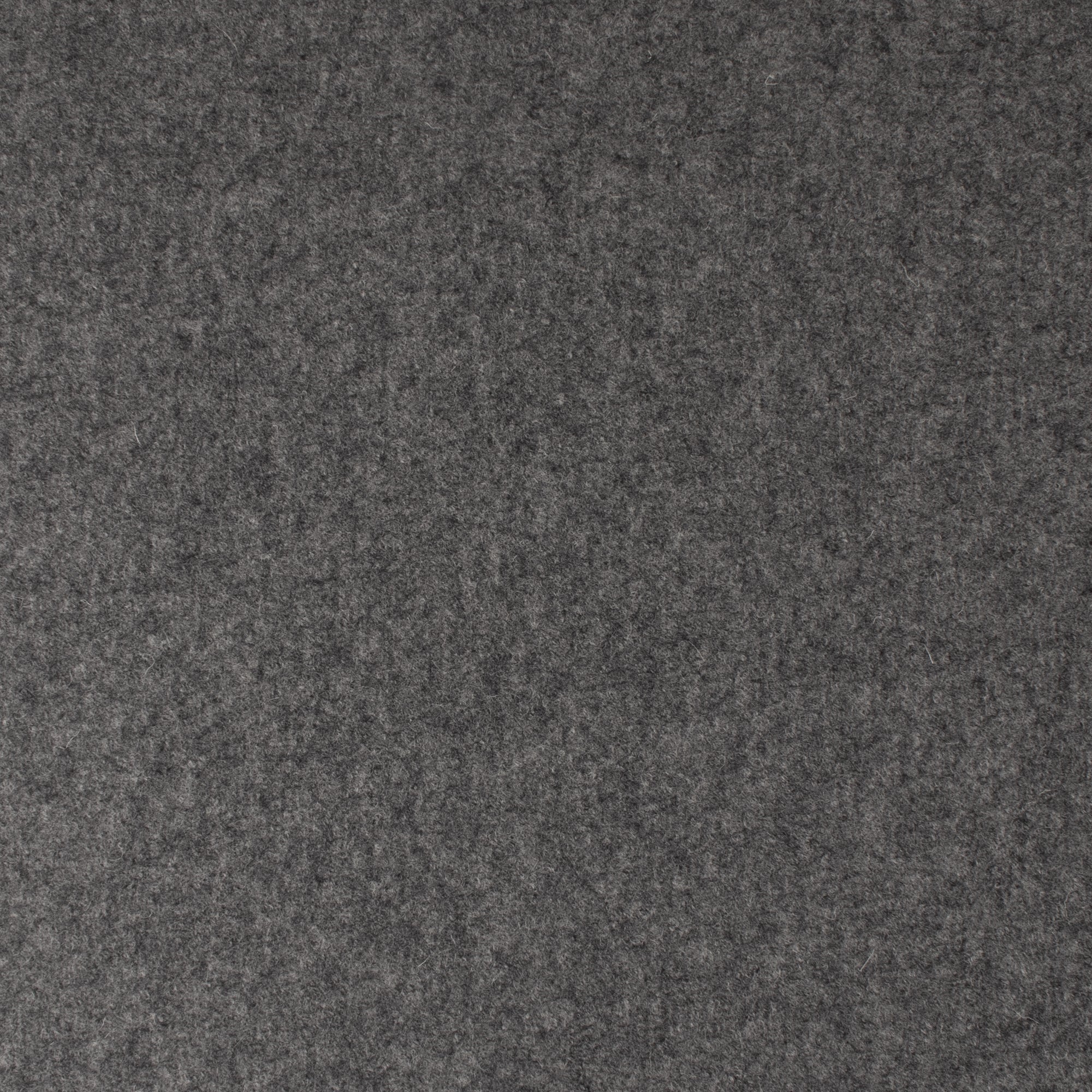 Boiled wool - Grey