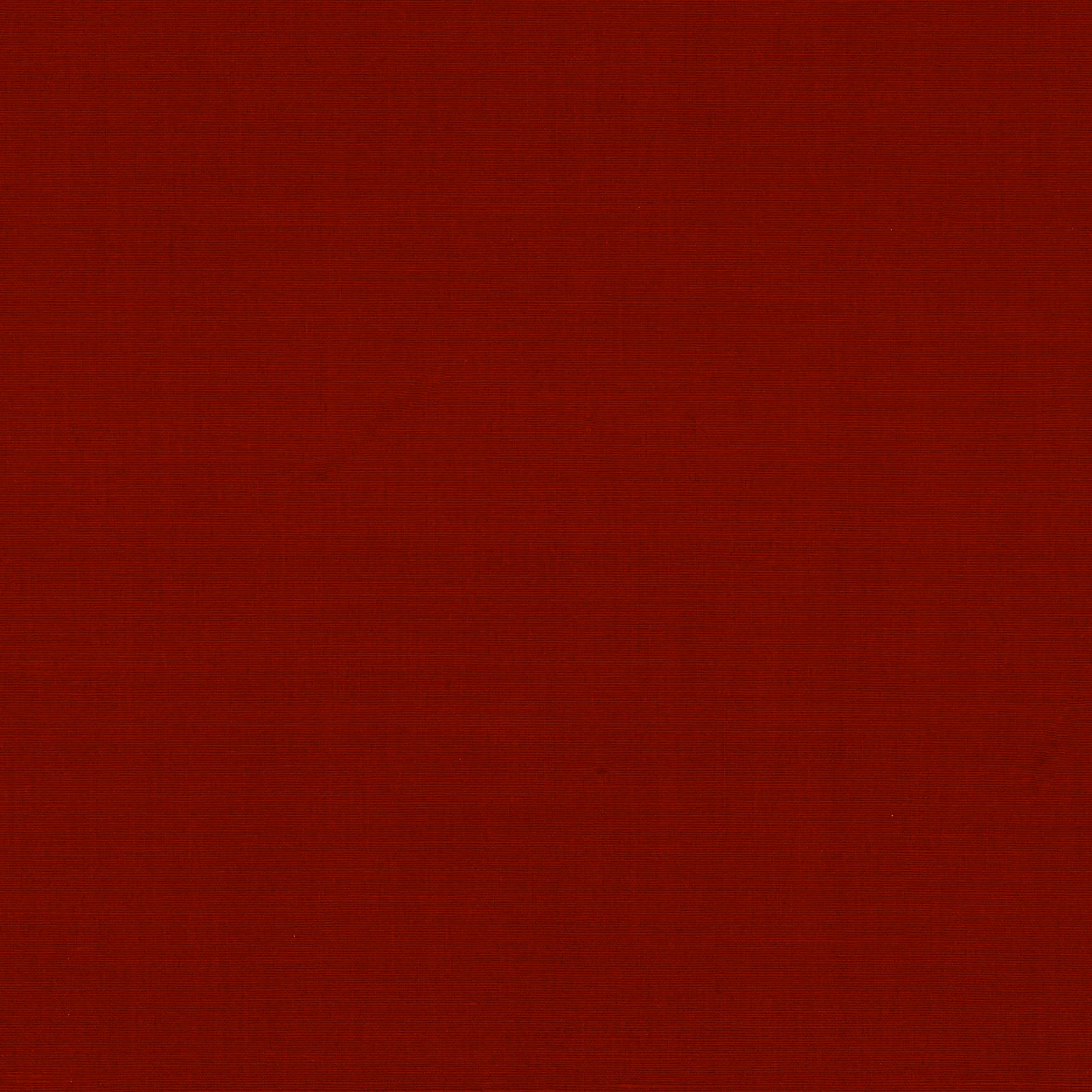 Broadcloth - Bulk roll - Image 15