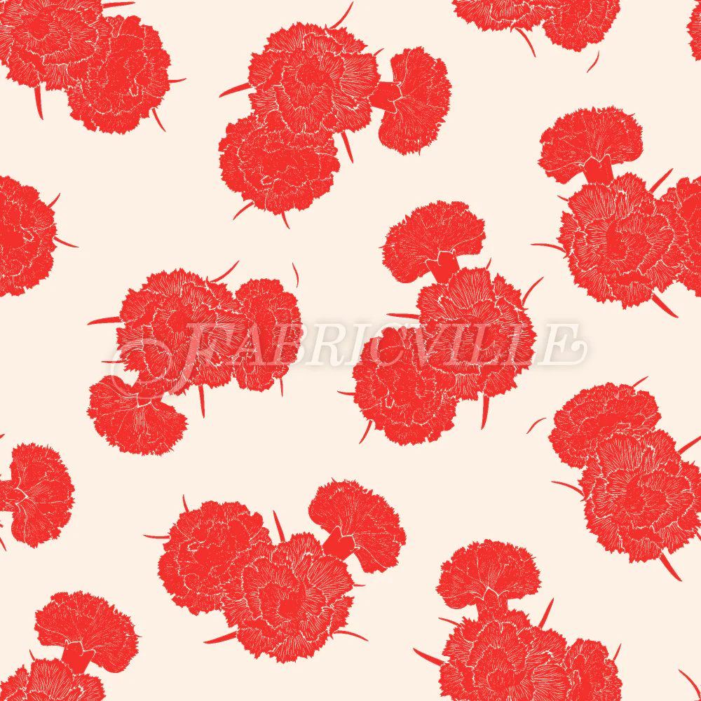 Carnations For You