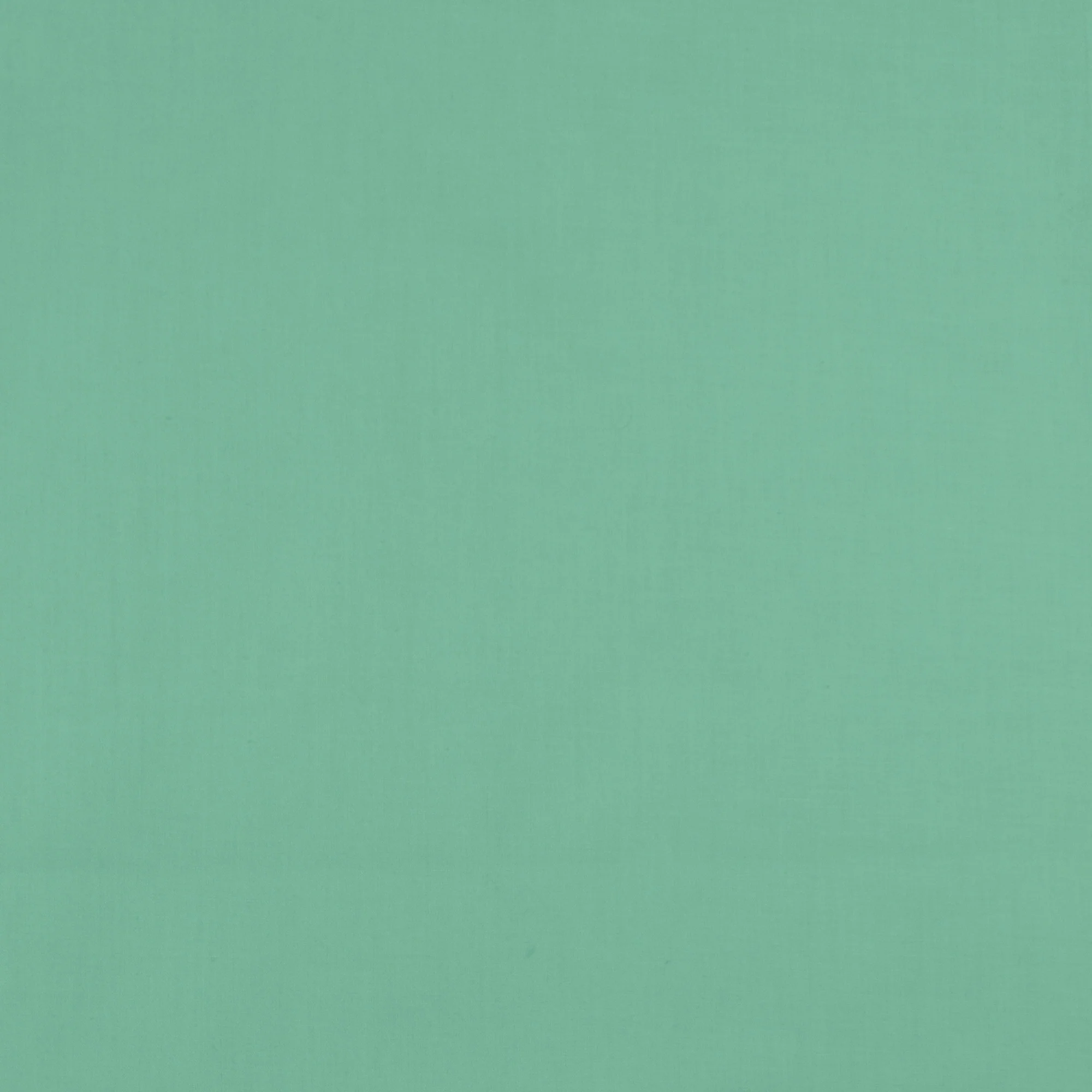 Classic Cotton Solid - SEW - 024 - Seafoam