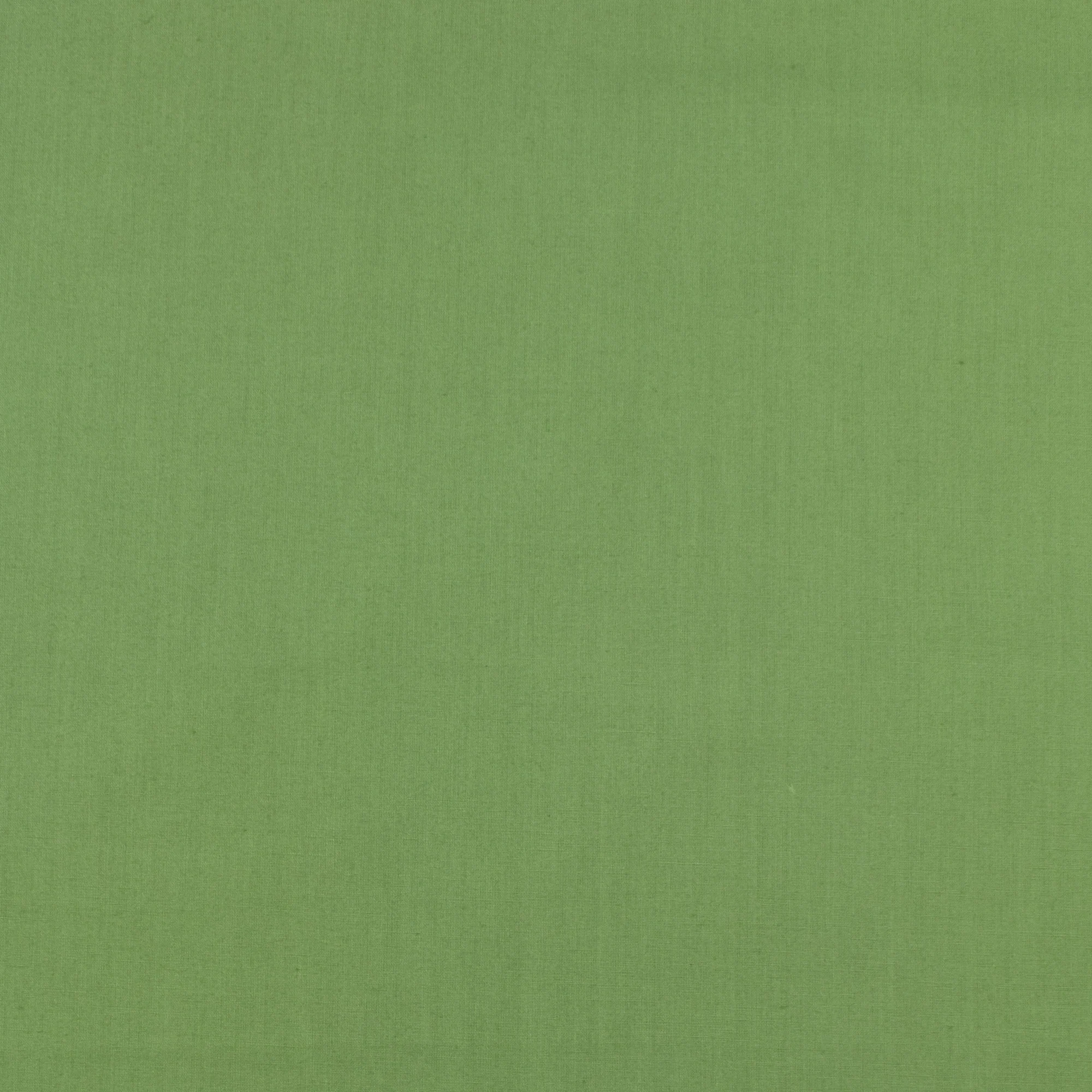 Classic Cotton Solid - SEW - 025 - Seaweed