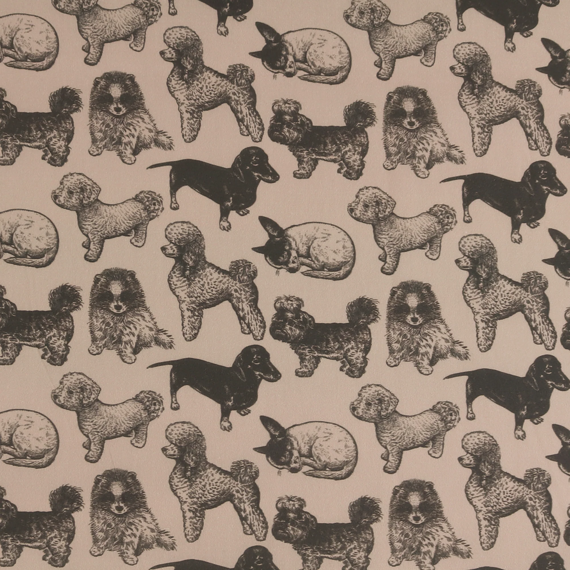 Cotton Poplin Print - DIDI - 005 - Beige