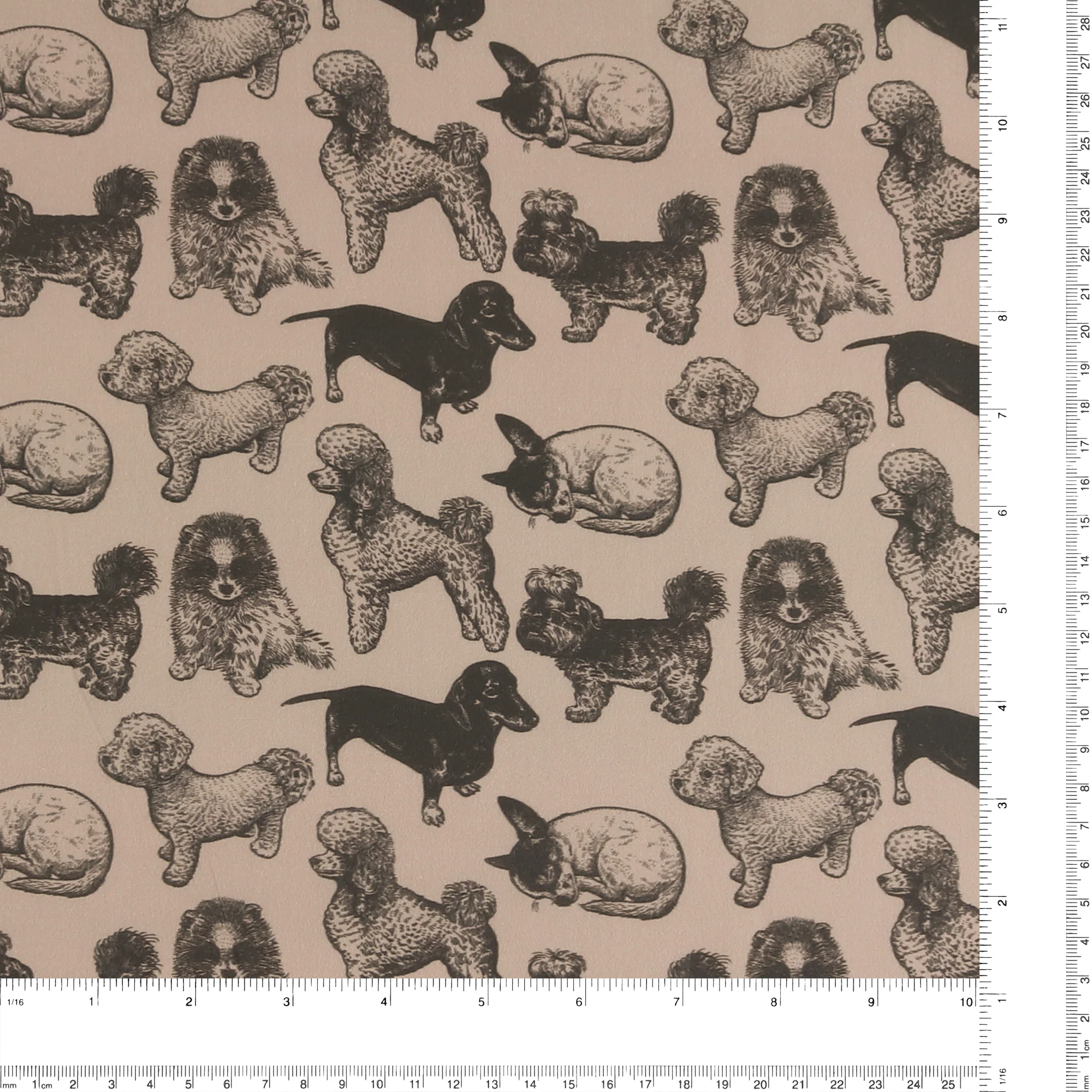 Cotton Poplin Print - DIDI - 005 - Beige - Image 3