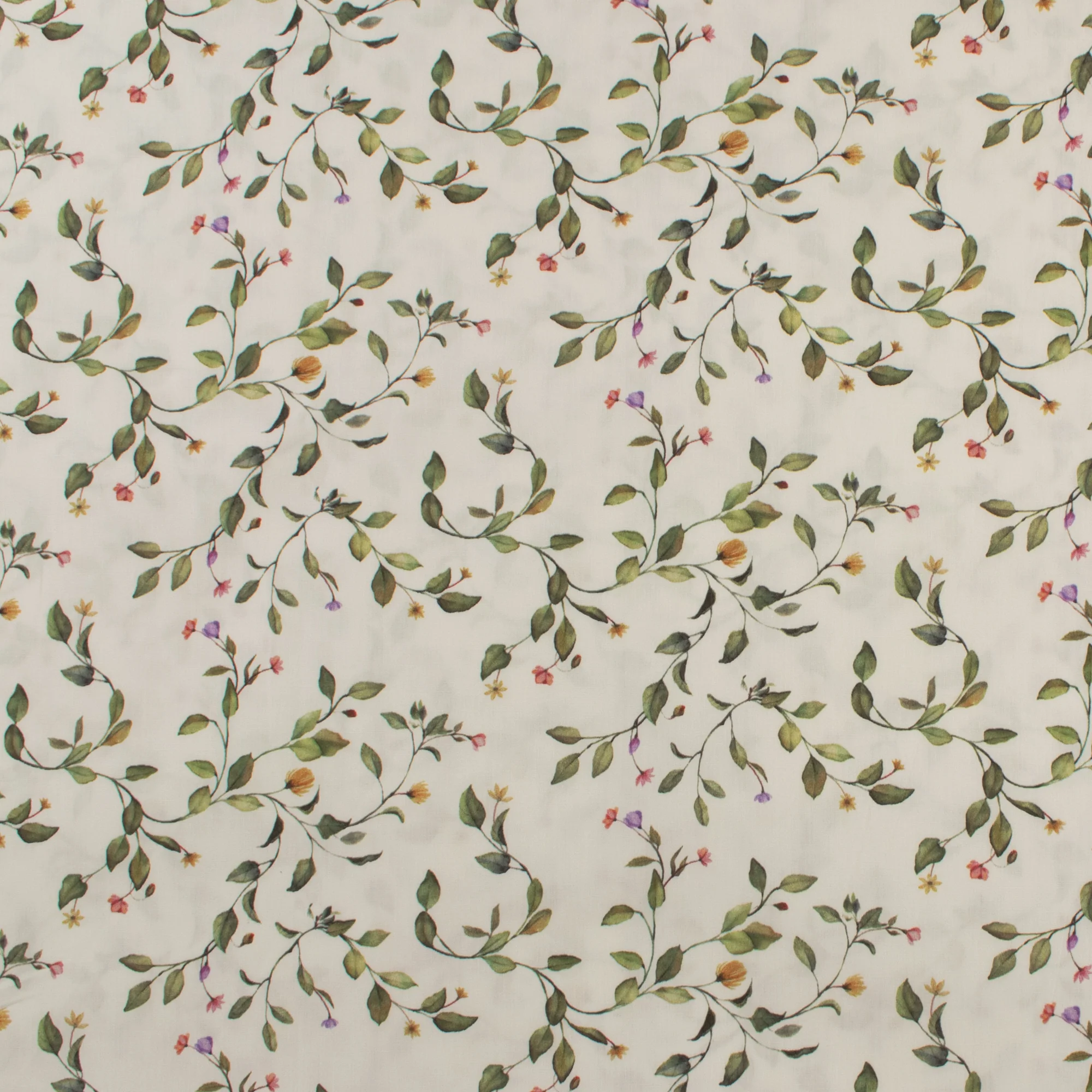Cotton Poplin Print - PRINCESS CHARLOTTE - 006 - Offwhite