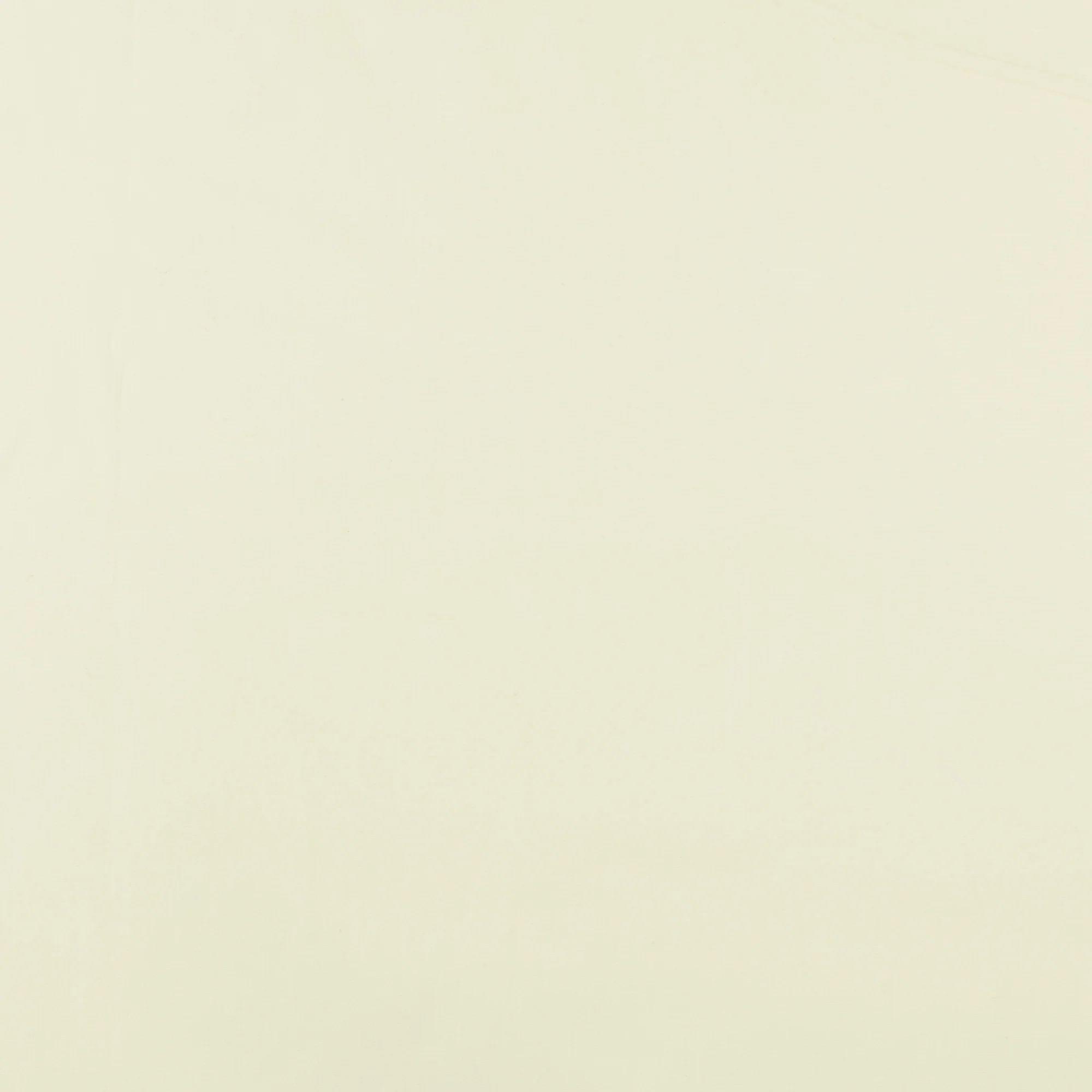 Cotton Poplin Solid - GIGGLES AND GRAPHICS - 002 - Offwhite