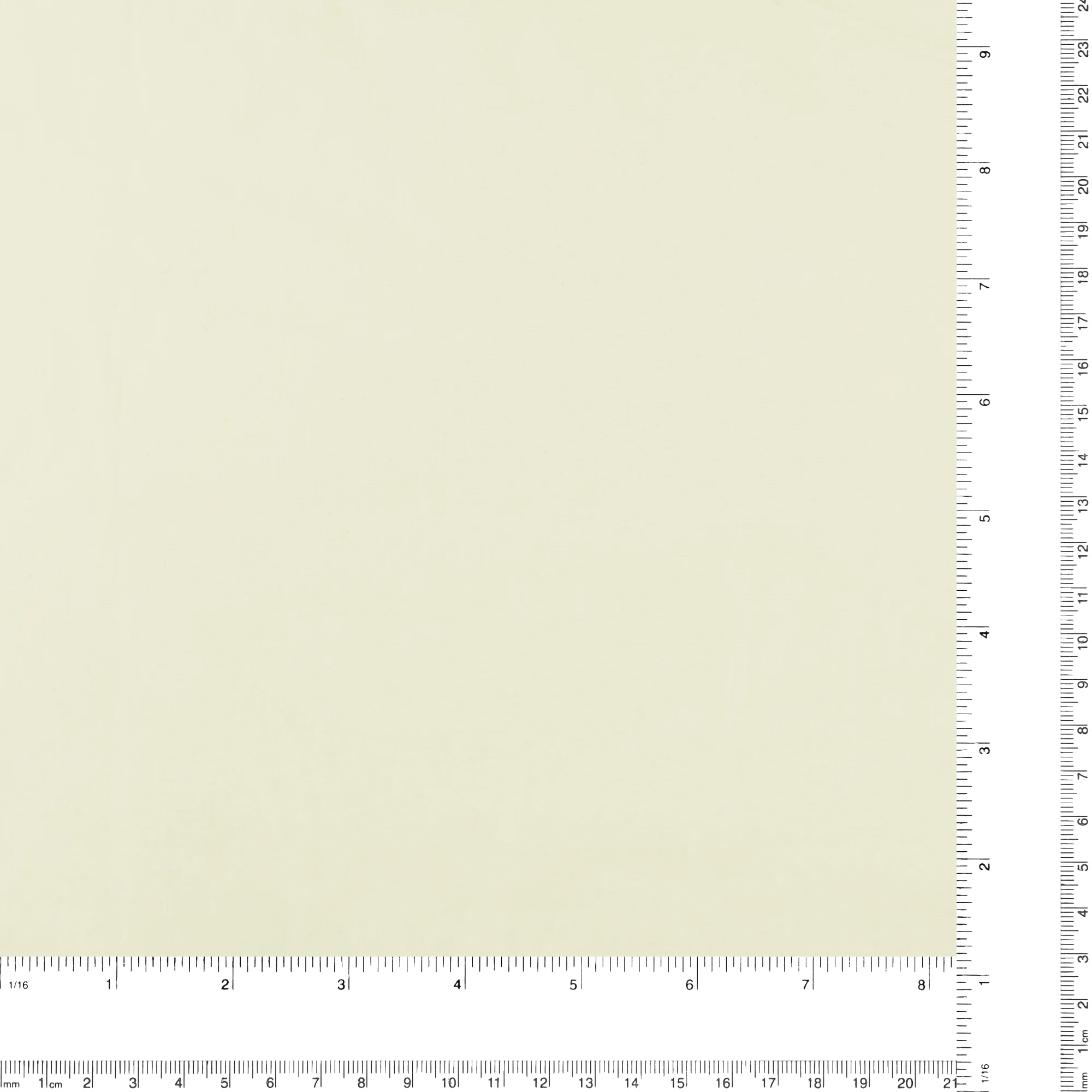 Cotton Poplin Solid - GIGGLES AND GRAPHICS - 002 - Offwhite - Image 3