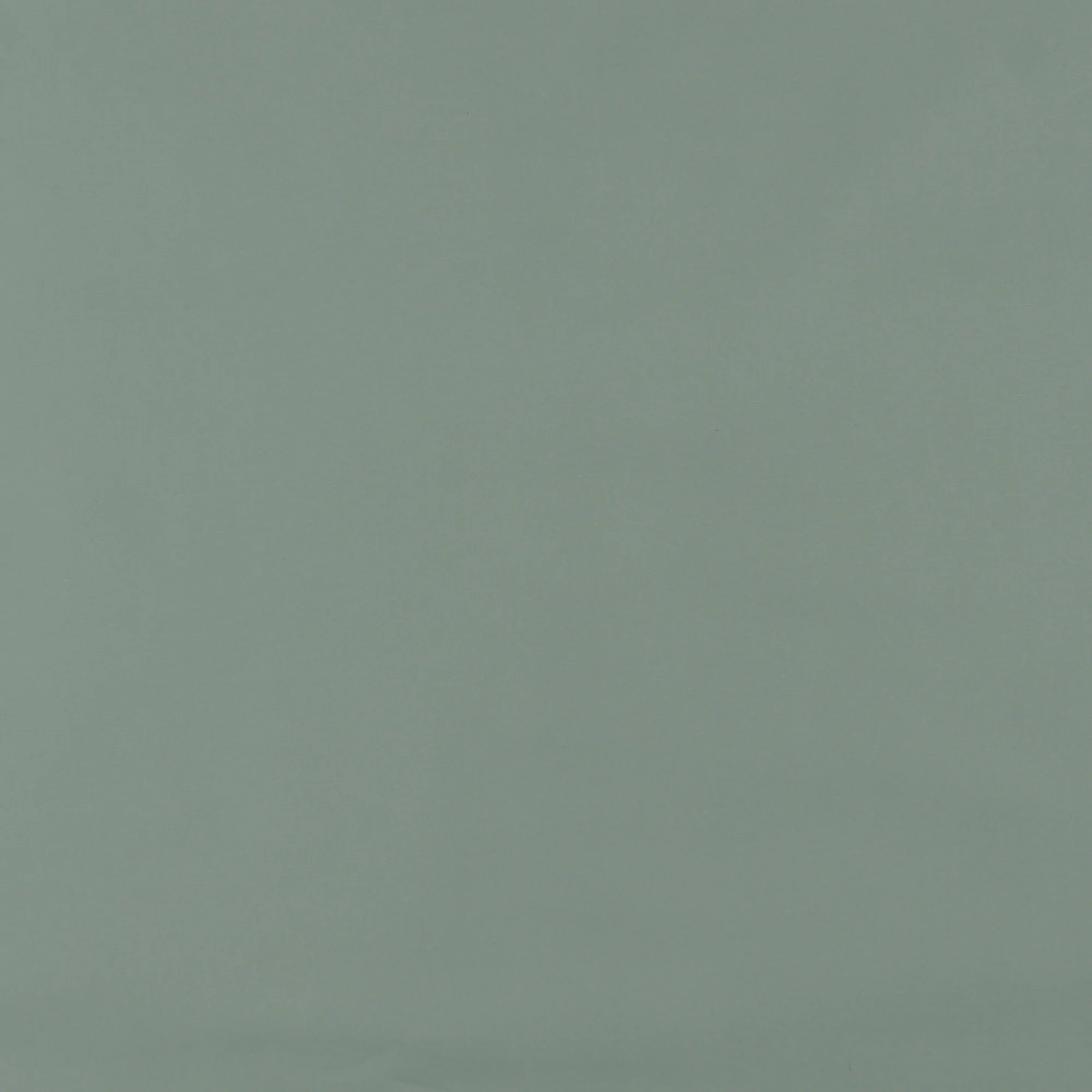 Cotton Poplin Solid - GIGGLES AND GRAPHICS - 005 - Mint