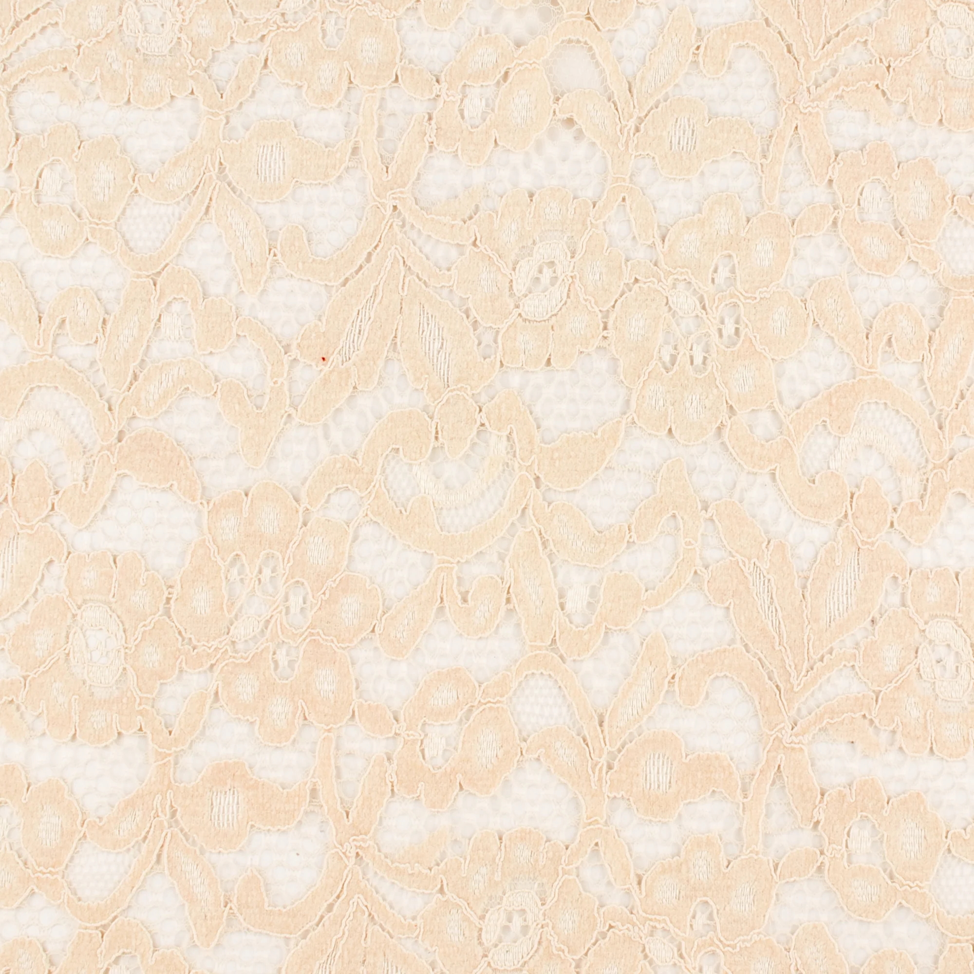 Dentelle cordée - FABULOSA - Beige