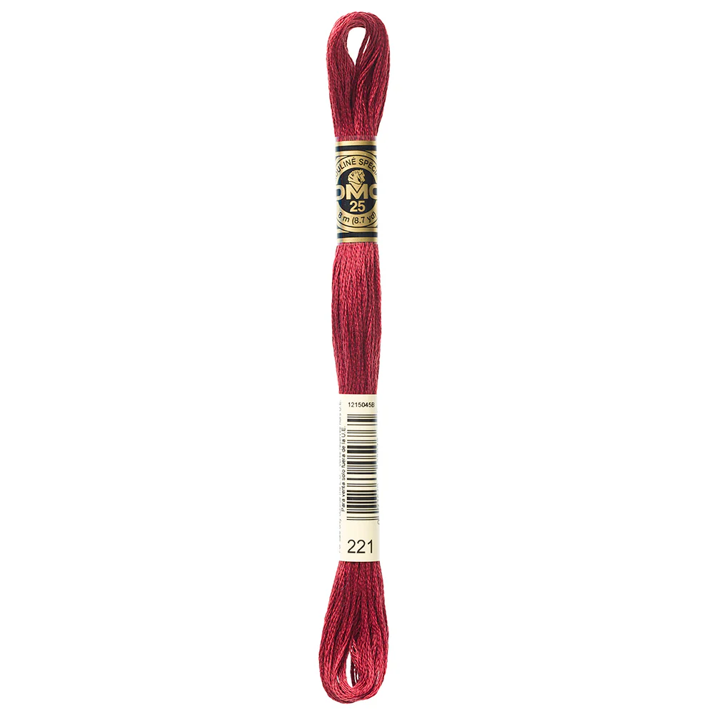 DMC #117 - Six Strand Embroidery Floss - 221