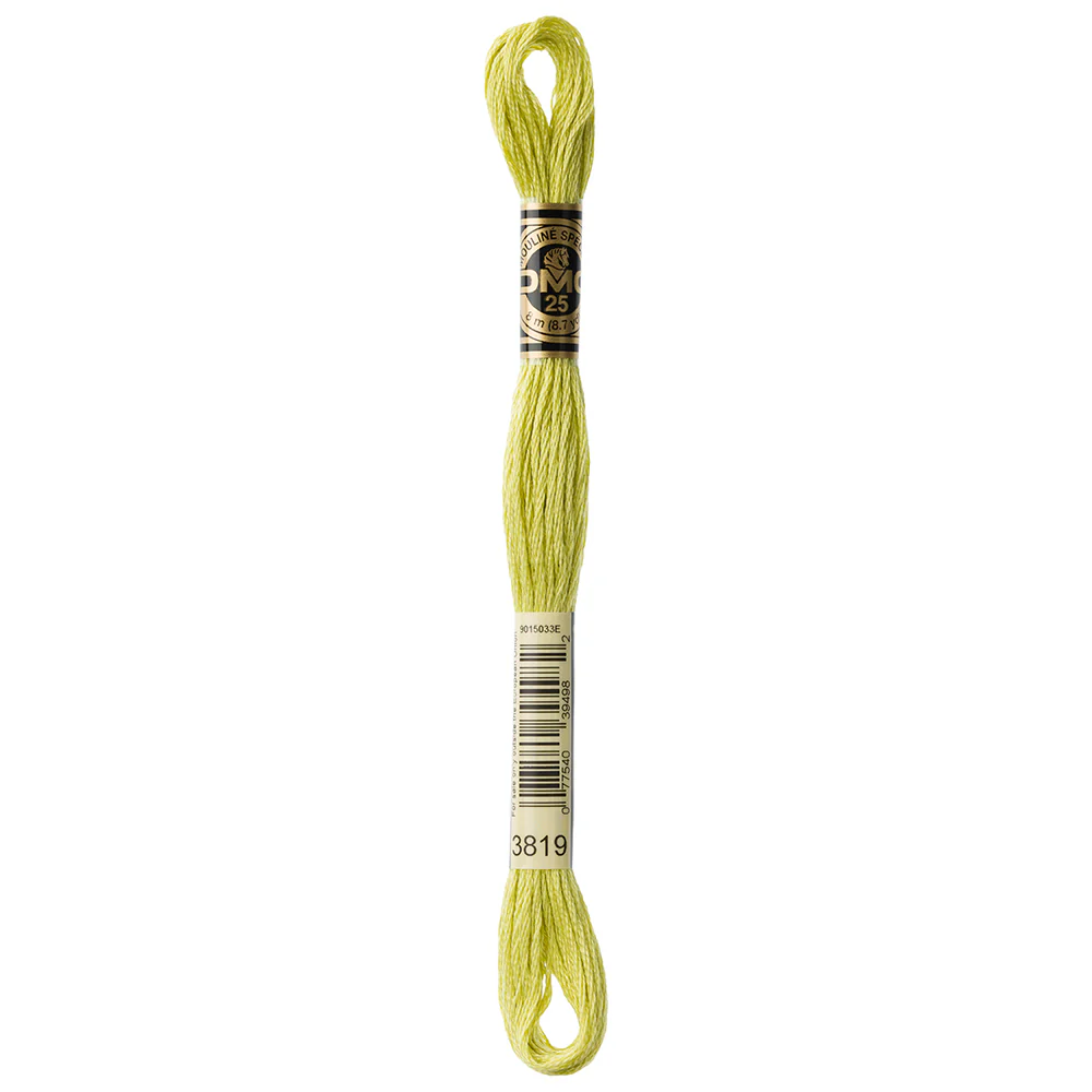 DMC #117 - Six Strand Embroidery Floss -  3819