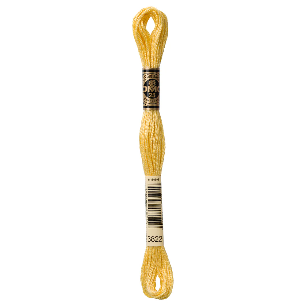 DMC #117 - Six Strand Embroidery Floss - 3822