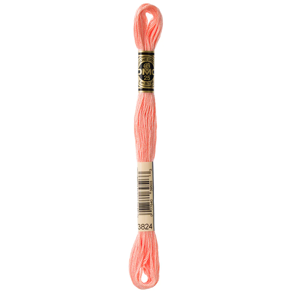 DMC #117 - Six Strand Embroidery Floss - 3824