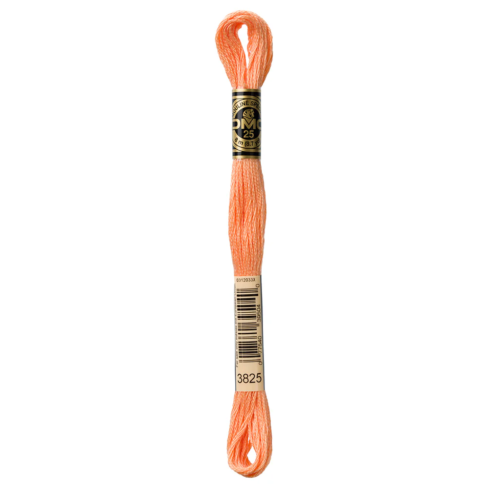 DMC #117 - Six Strand Embroidery Floss - 3825