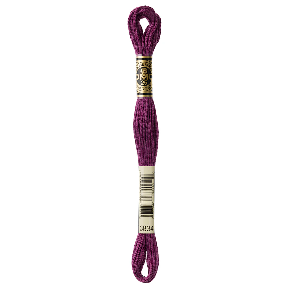 DMC #117 - Six Strand Embroidery Floss - 3834