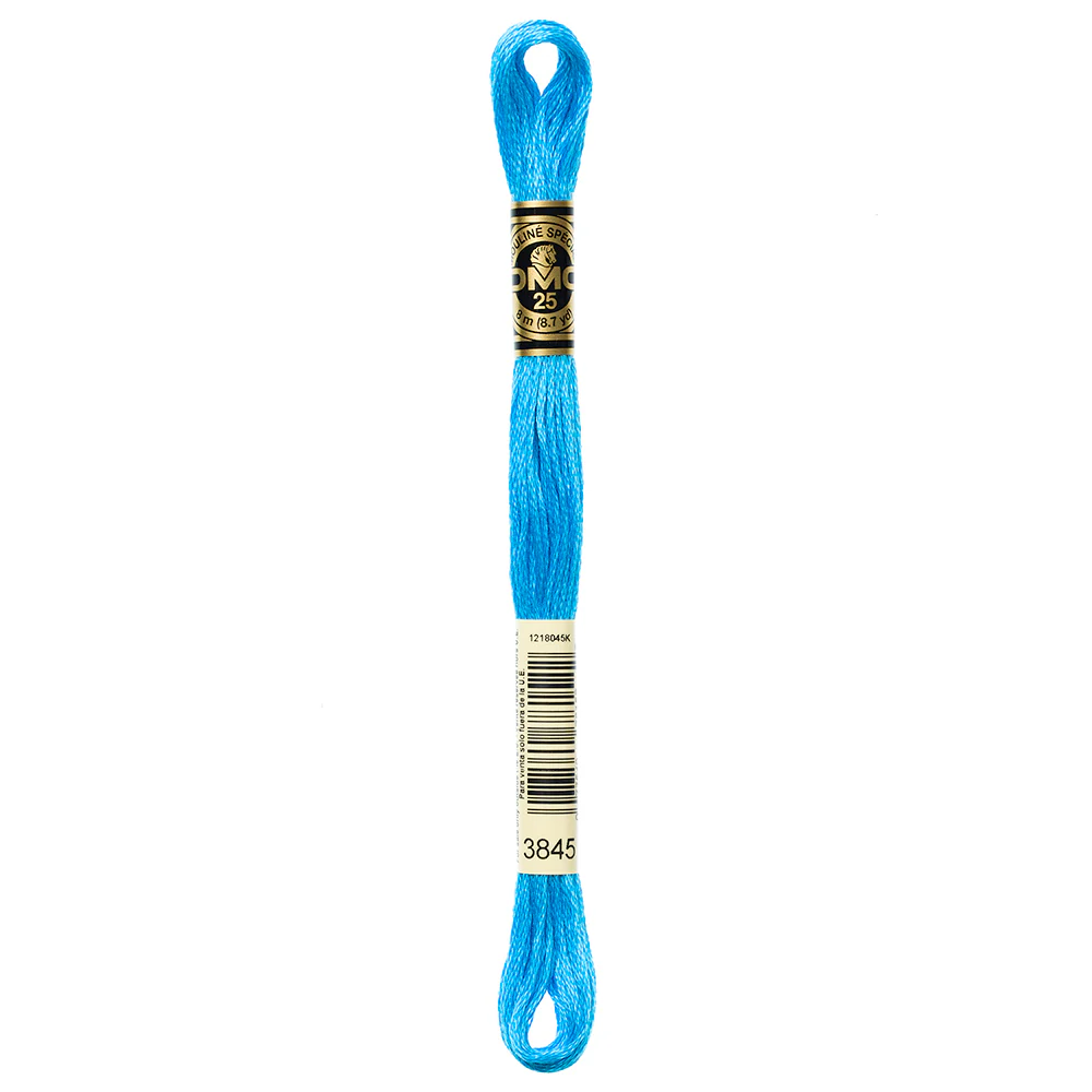 DMC #117 - Six Strand Embroidery Floss - 3845