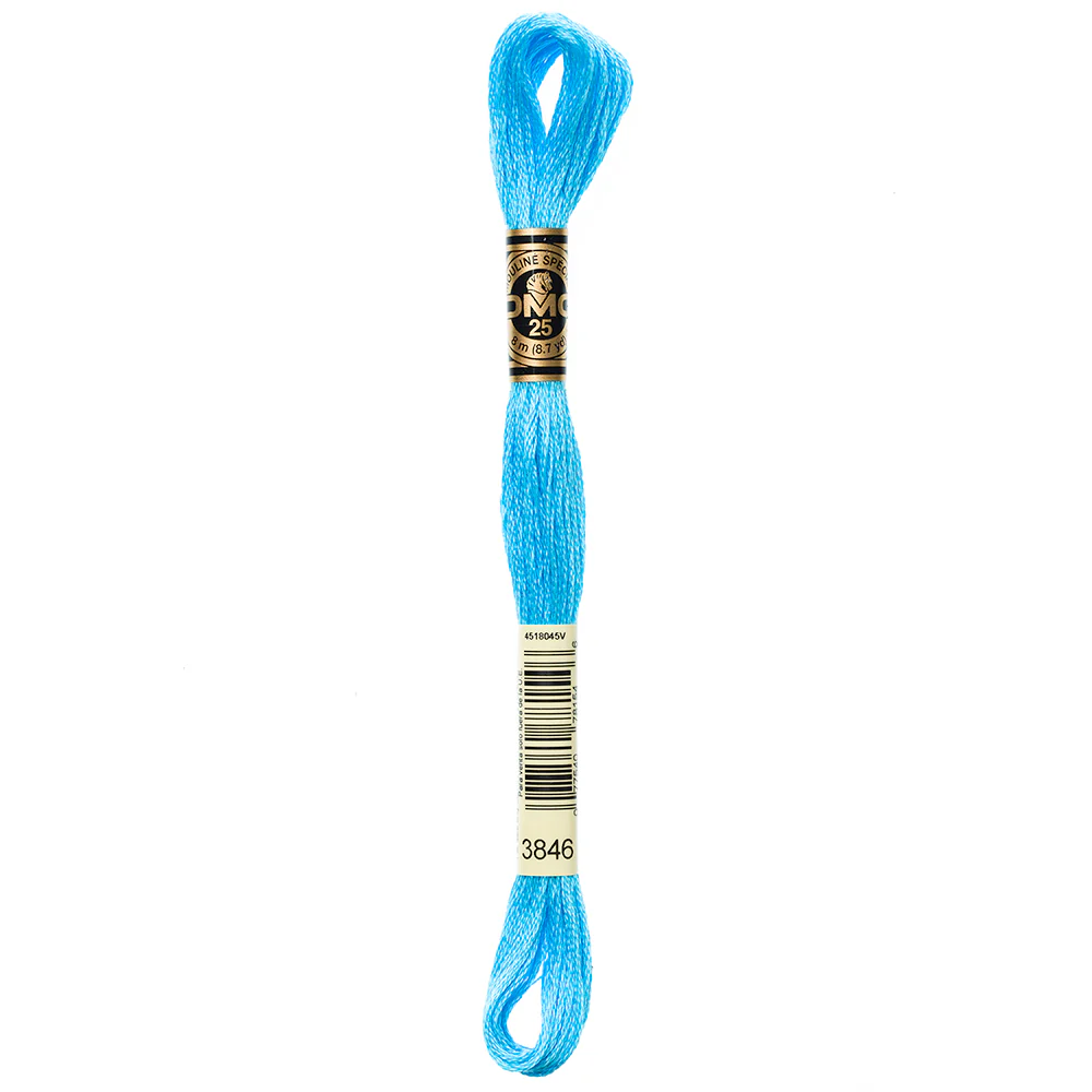 DMC #117 - Six Strand Embroidery Floss - 3846