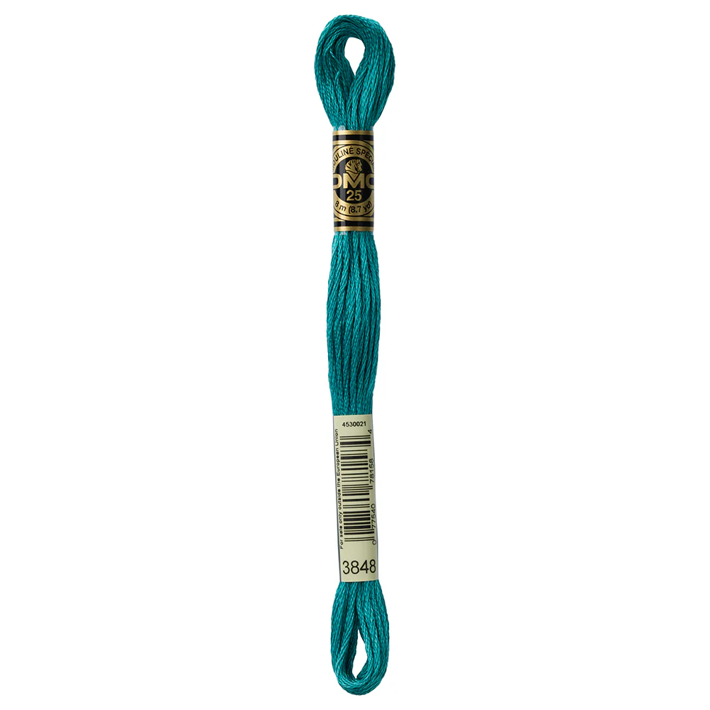 DMC #117 - Six Strand Embroidery Floss - 3848