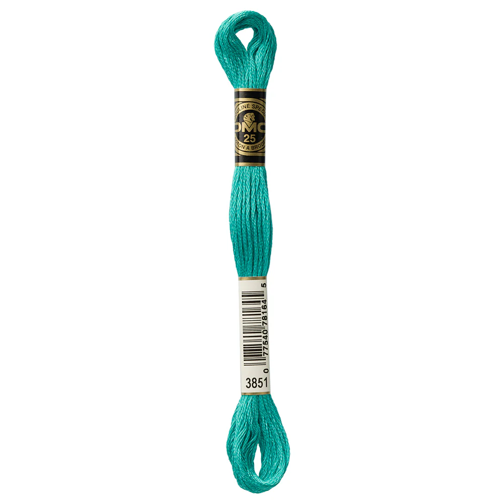 DMC #117 - Six Strand Embroidery Floss -  3851