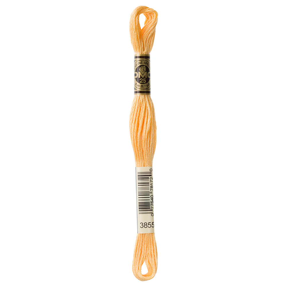 DMC #117 - Six Strand Embroidery Floss - 3855