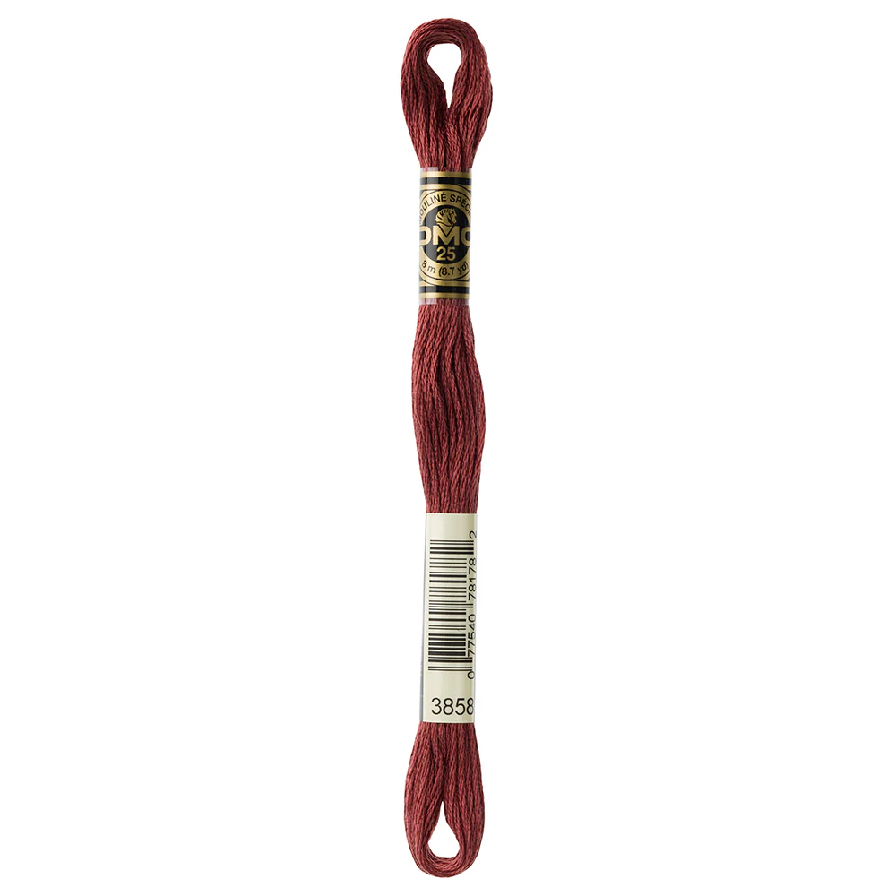 DMC #117 - Six Strand Embroidery Floss - 3858
