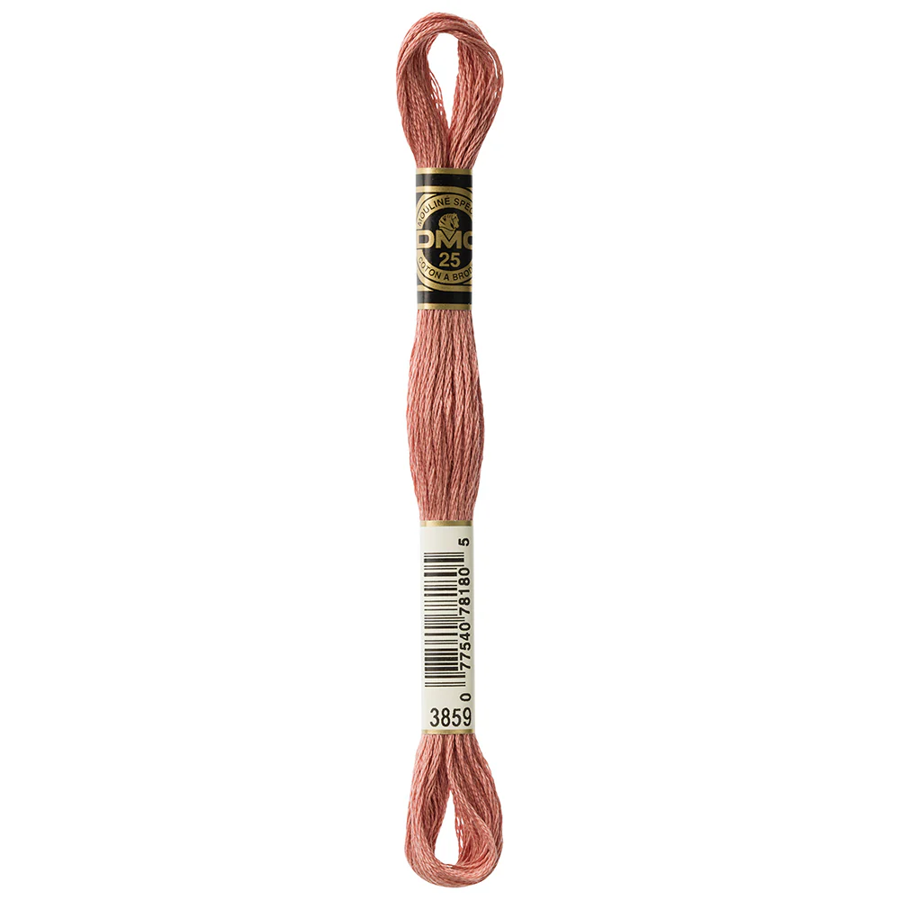 DMC #117 - Six Strand Embroidery Floss -  3859