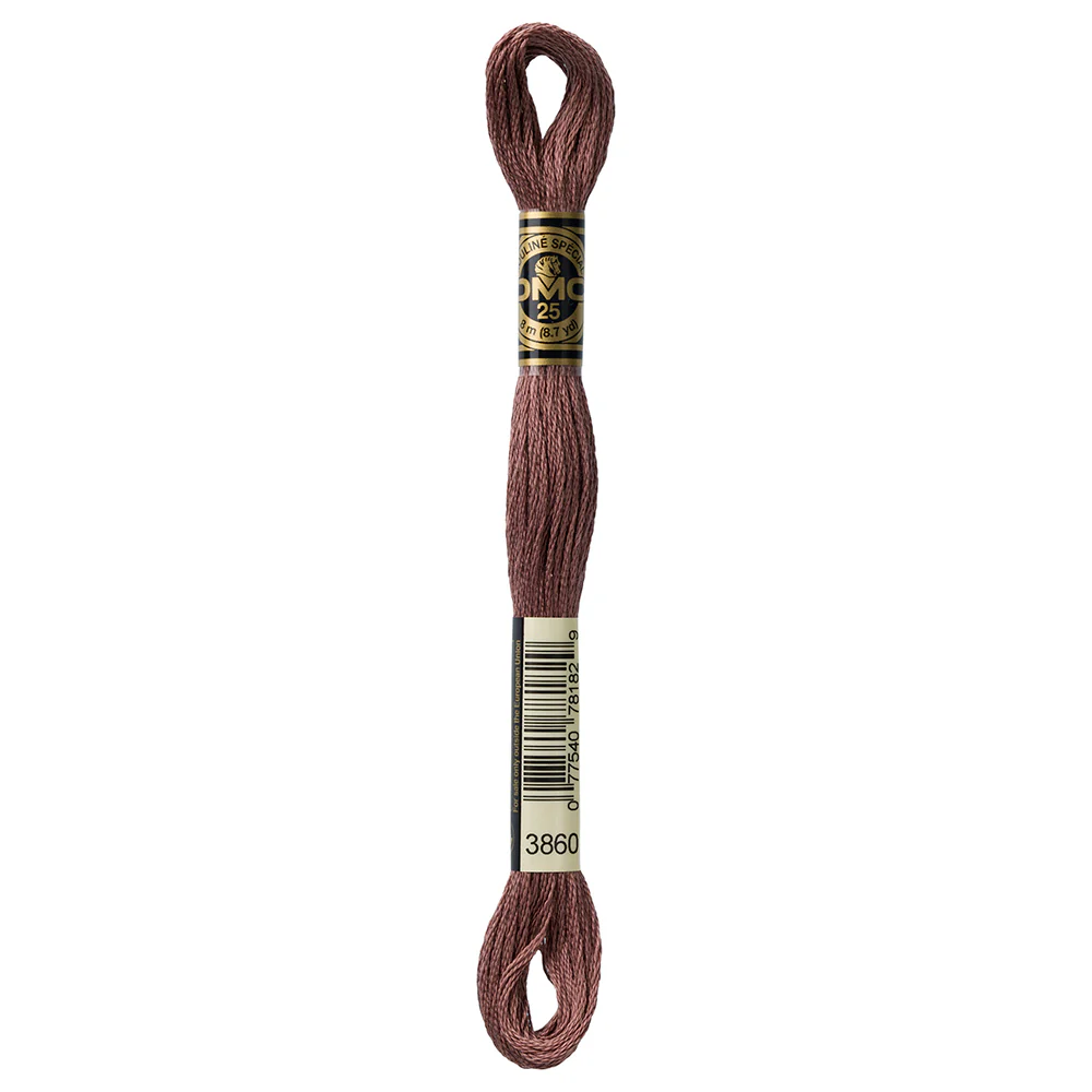 DMC #117 - Six Strand Embroidery Floss -  3860