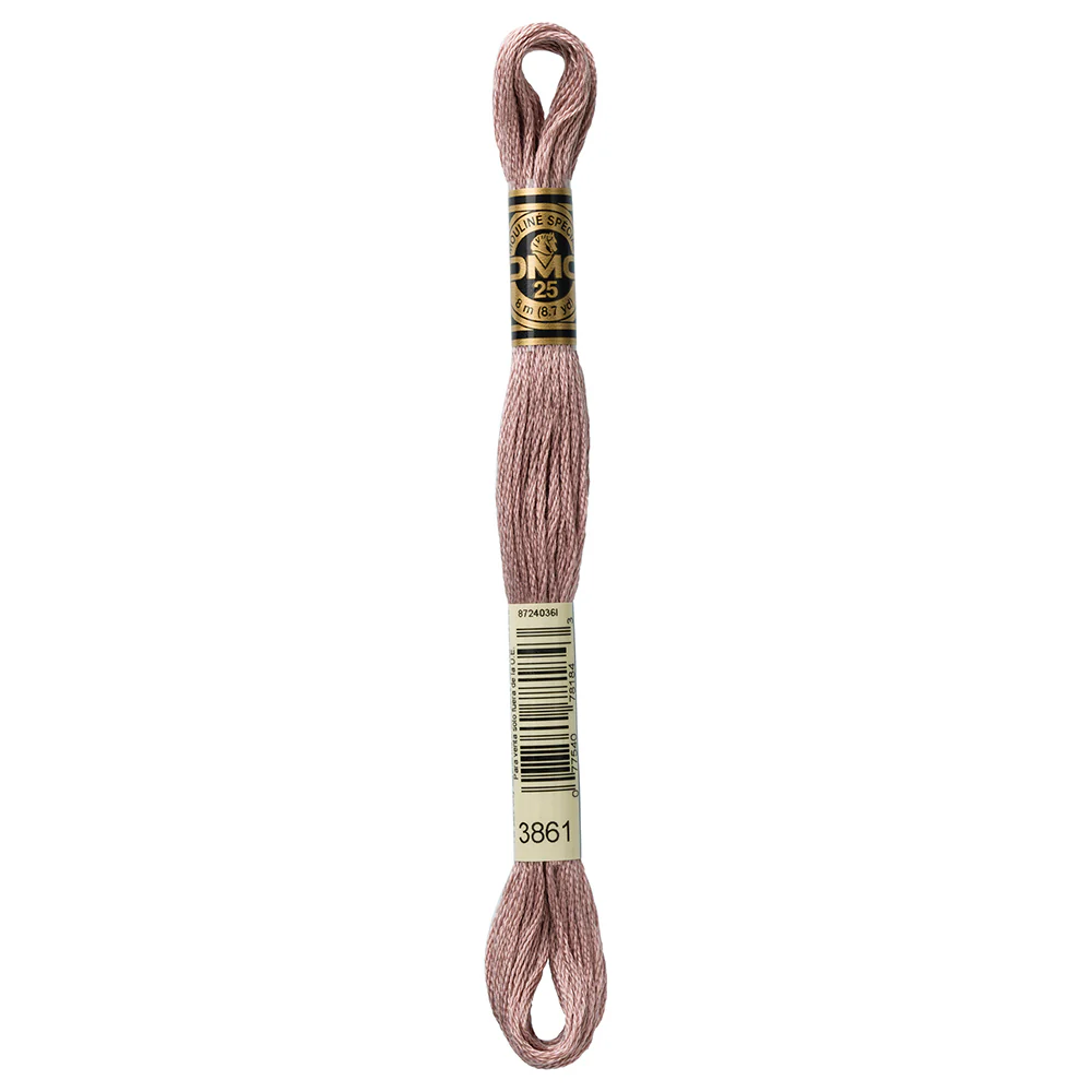 DMC #117 - Six Strand Embroidery Floss - 3861