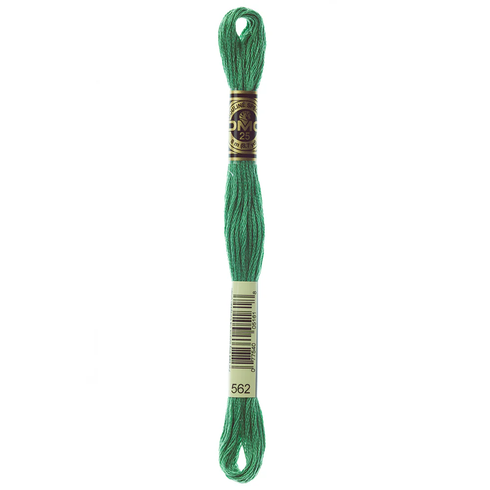 DMC #117 - Six Strand Embroidery Floss - 562