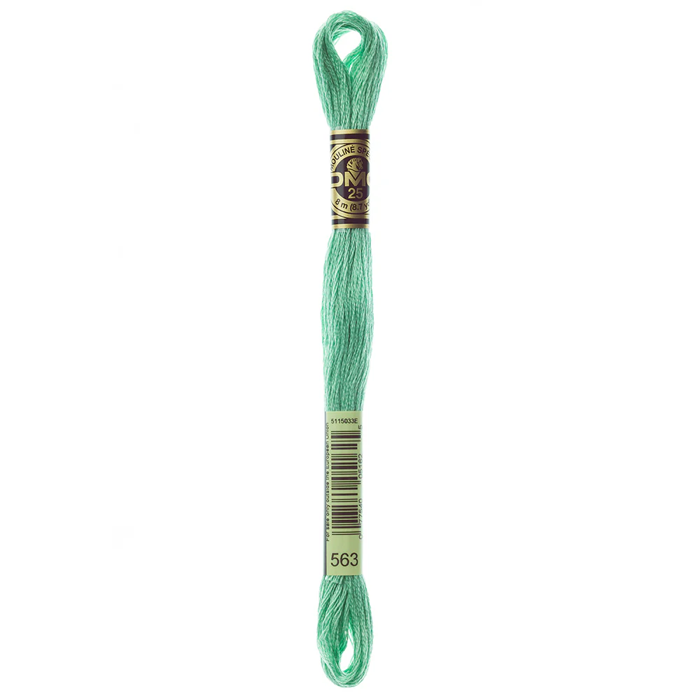DMC #117 - Six Strand Embroidery Floss -  563