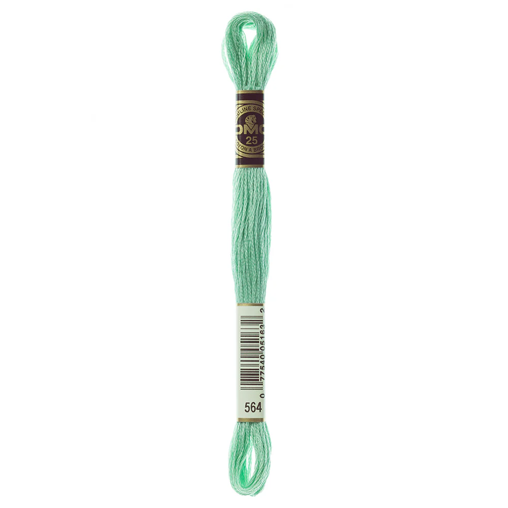 DMC #117 - Six Strand Embroidery Floss - 564