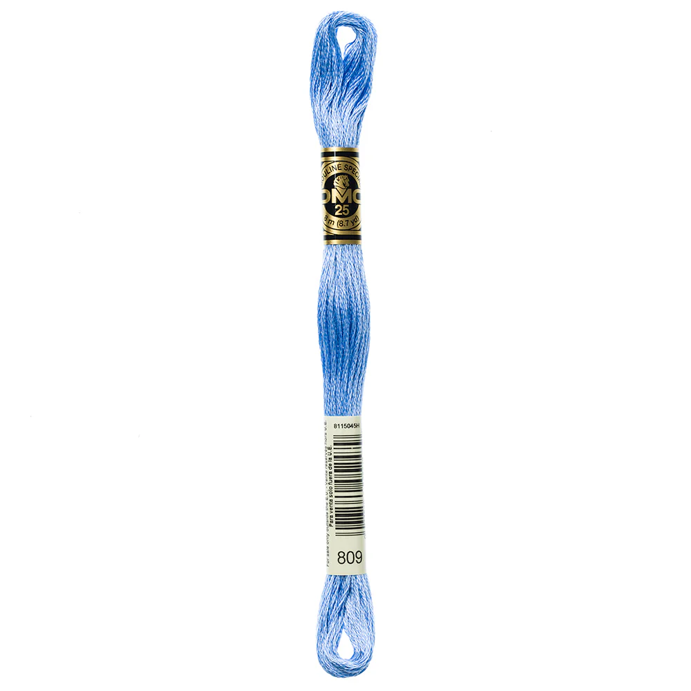 DMC #117 - Six Strand Embroidery Floss - 809