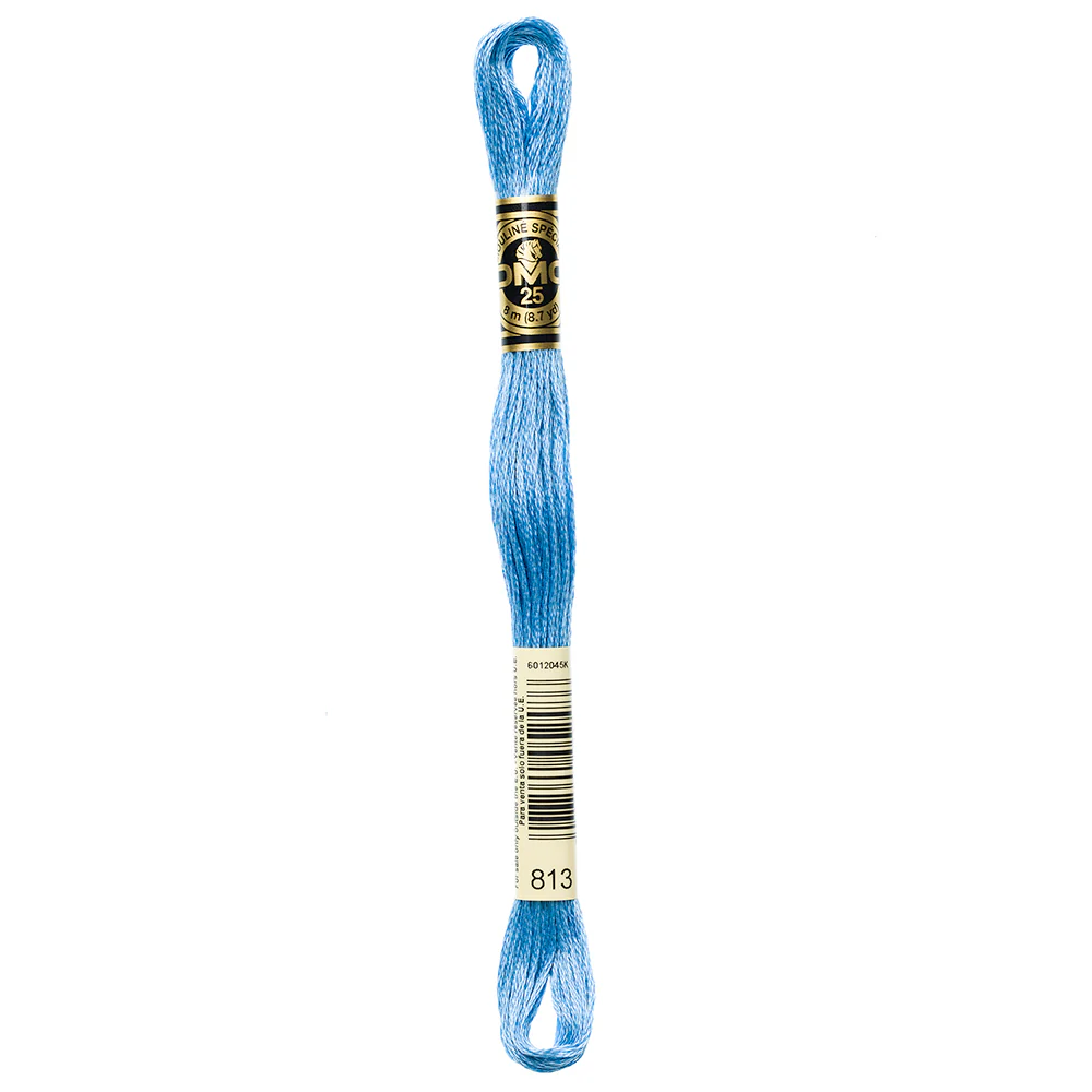 DMC #117 - Six Strand Embroidery Floss - 813