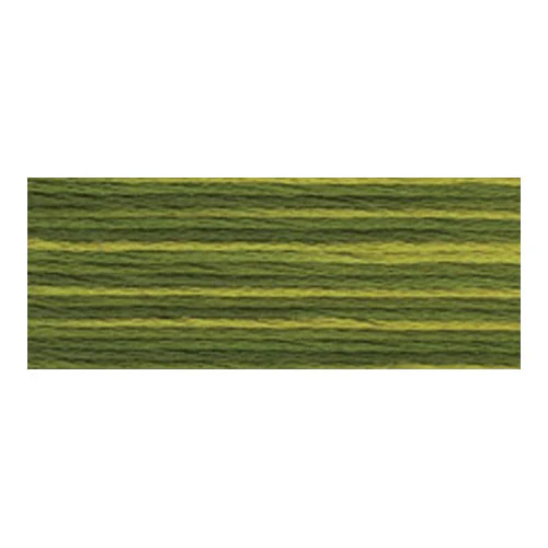 DMC #417F - Colour Variations Floss - 4066
