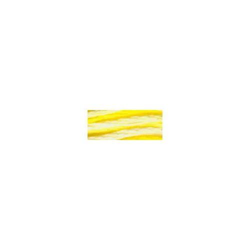 DMC #417F - Colour Variations Floss -  4077
