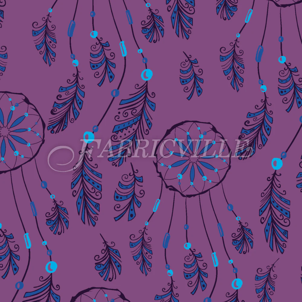 Dreamcatcher and Feathers