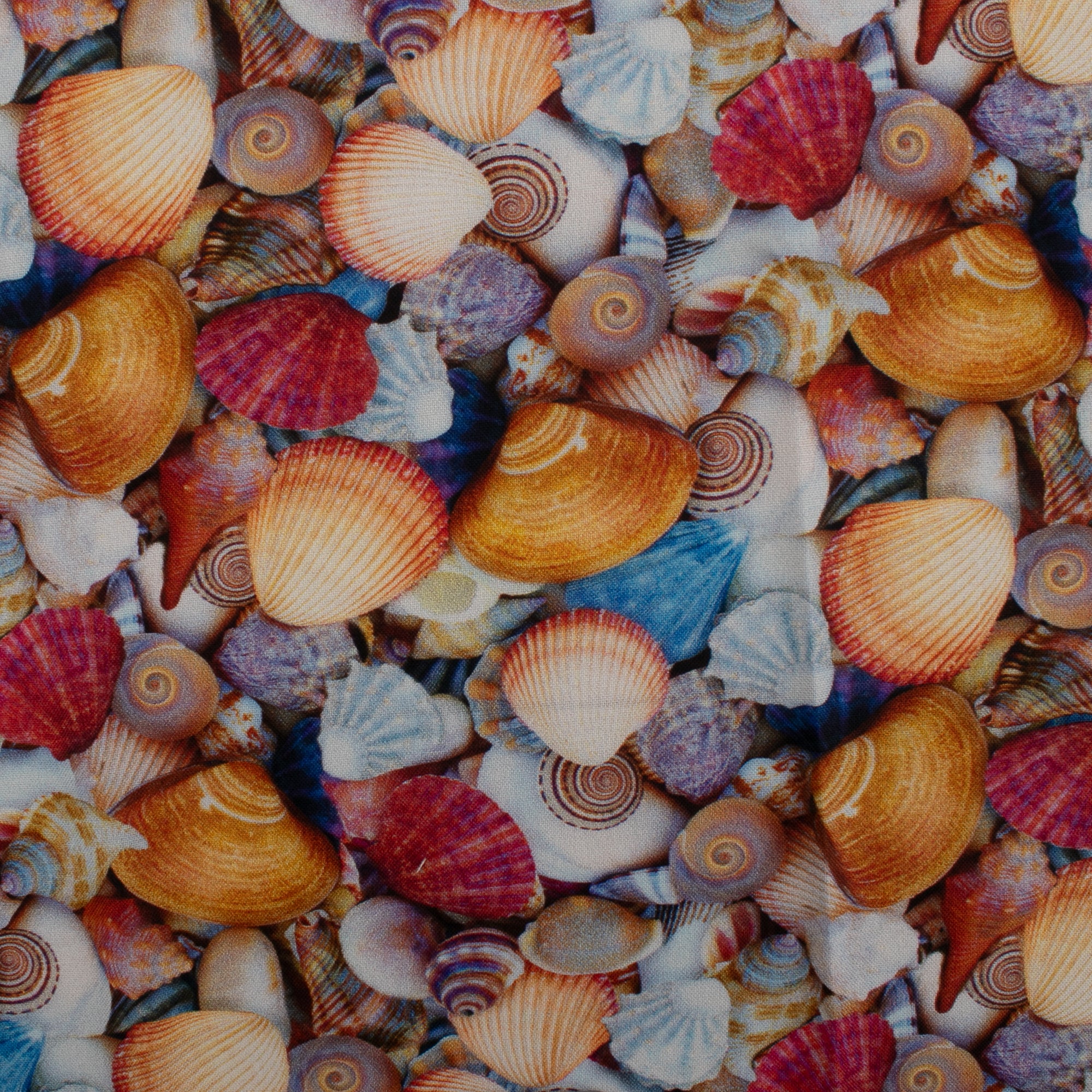 ESSENTIAL Printed Cotton - WINDHAM - Eggshell - Blue