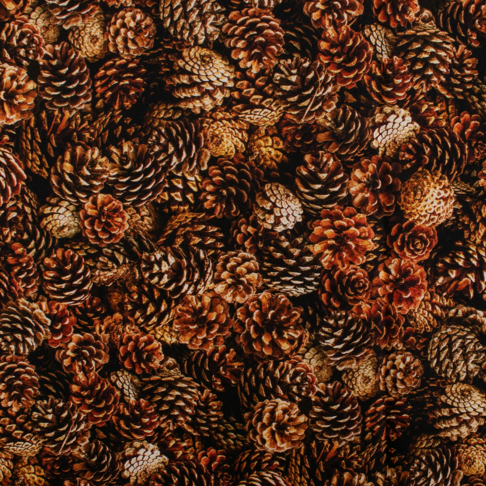 ESSENTIAL Printed Cotton - WINDHAM - Pine cone - Brown