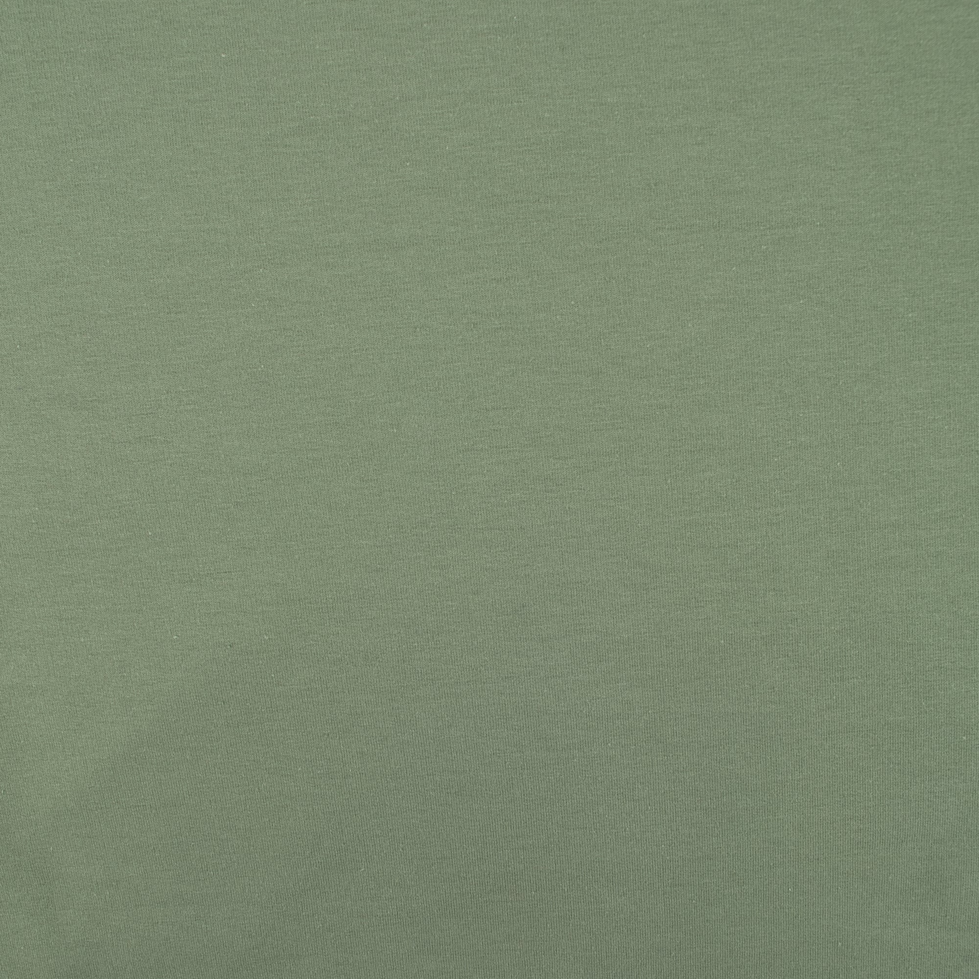 French Terry Knit - Light Green