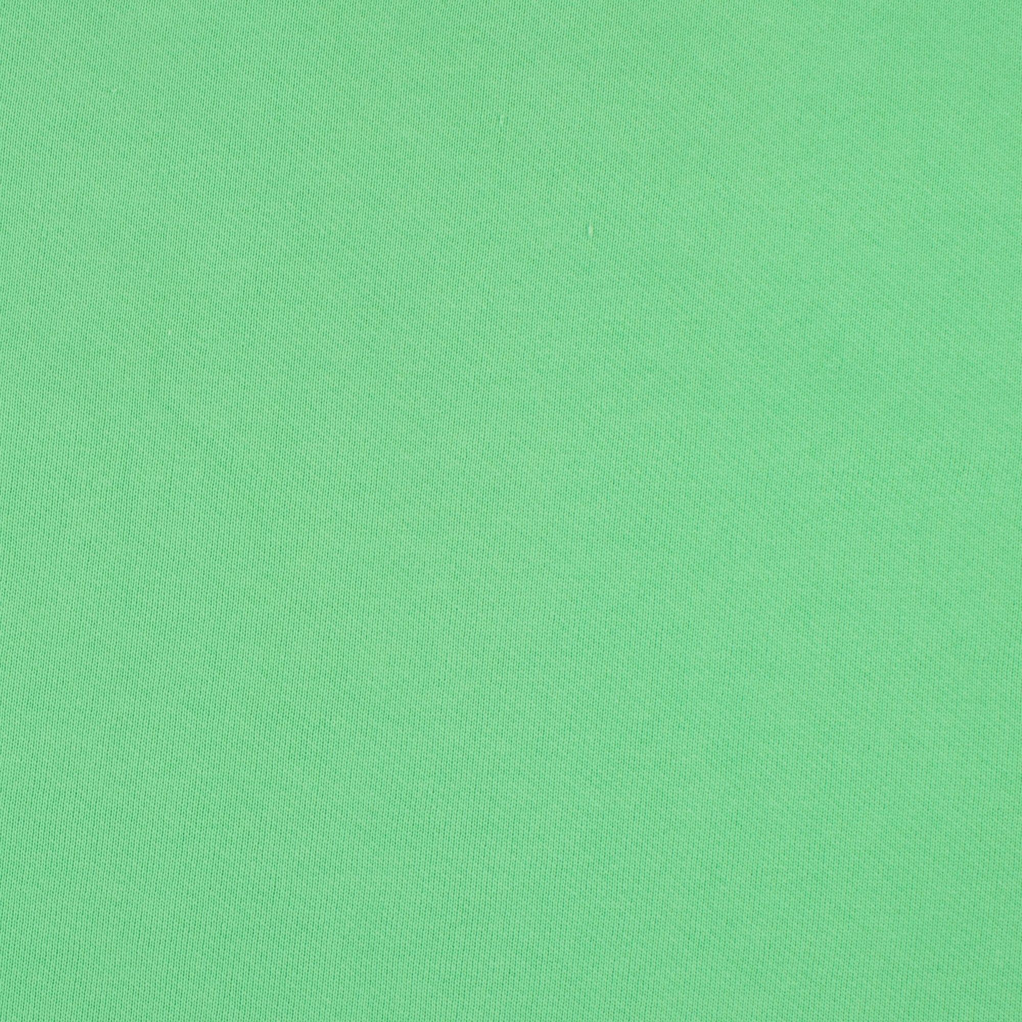 French Terry Knit - MUSKOKA - 001 - Mint