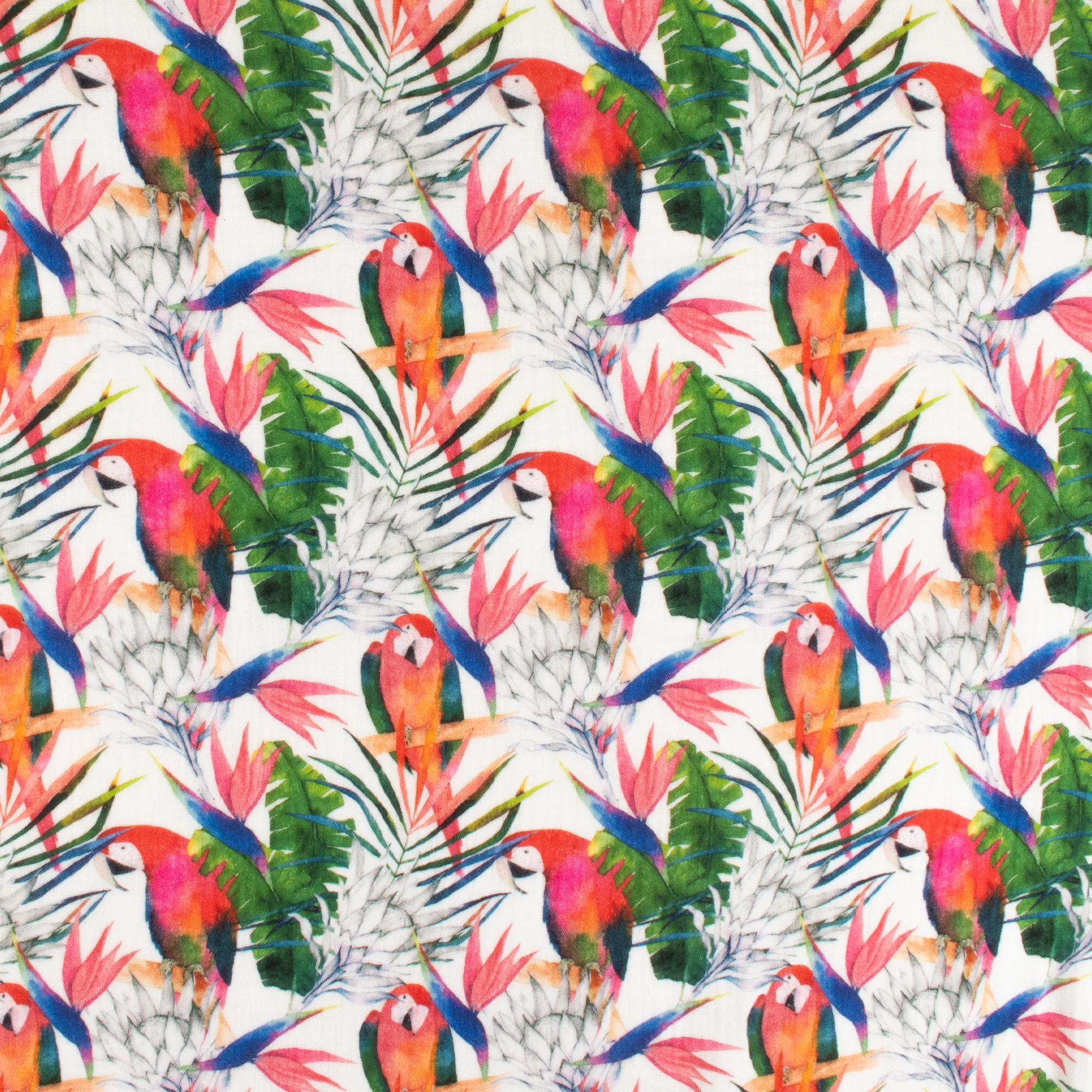 Gauze Cotton Print - NAP TIME - 005 - Green
