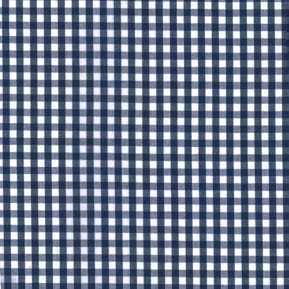 Gingham Check - Royal 1/4"