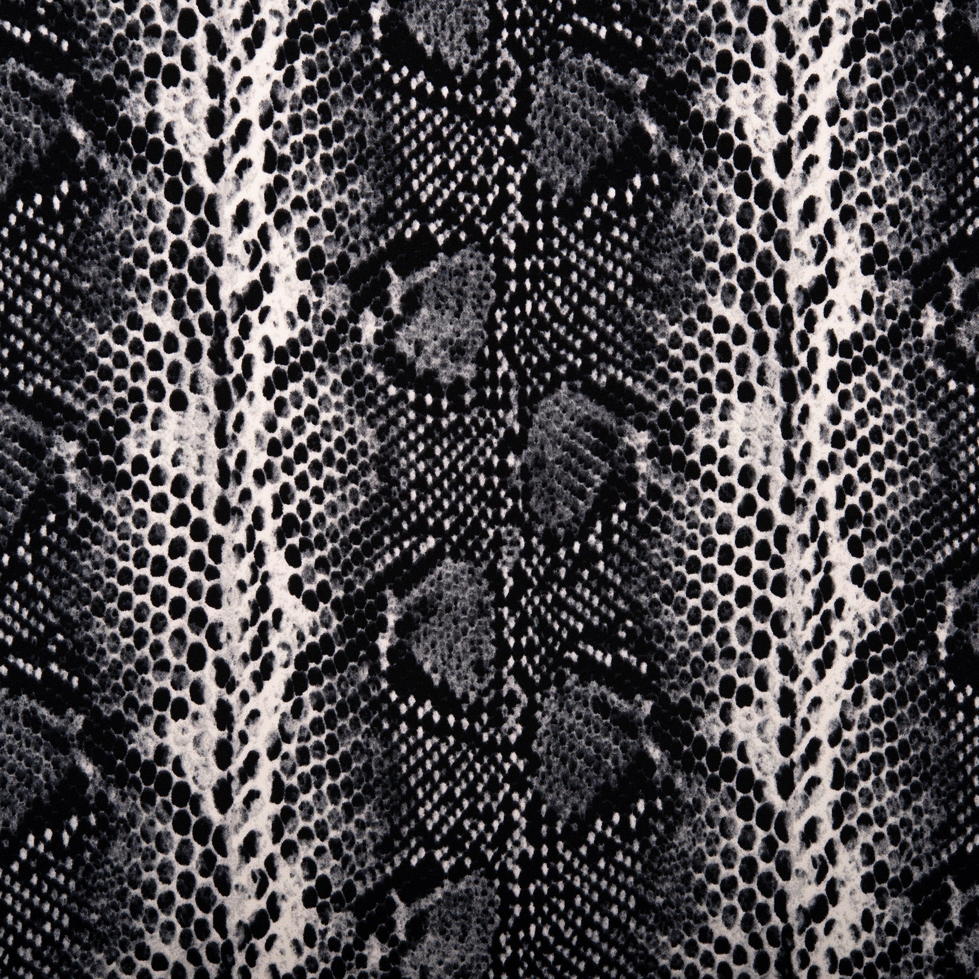Heavy Knit - MELLISA - Snakes - Black