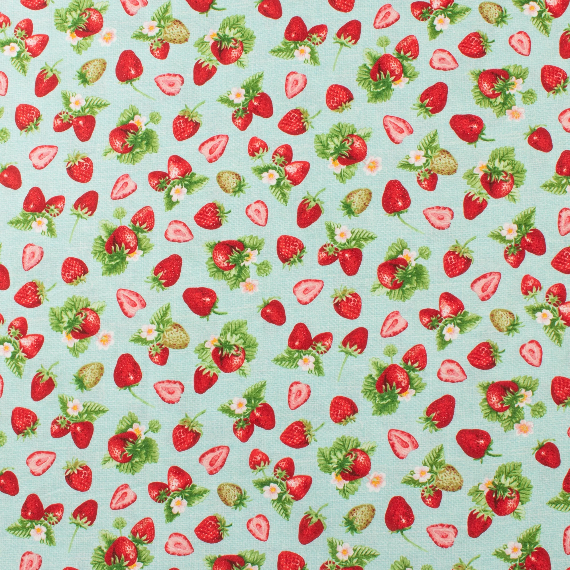 Henry Glass - Printed Cotton - BERRY BESTIES - 008 - Aqua
