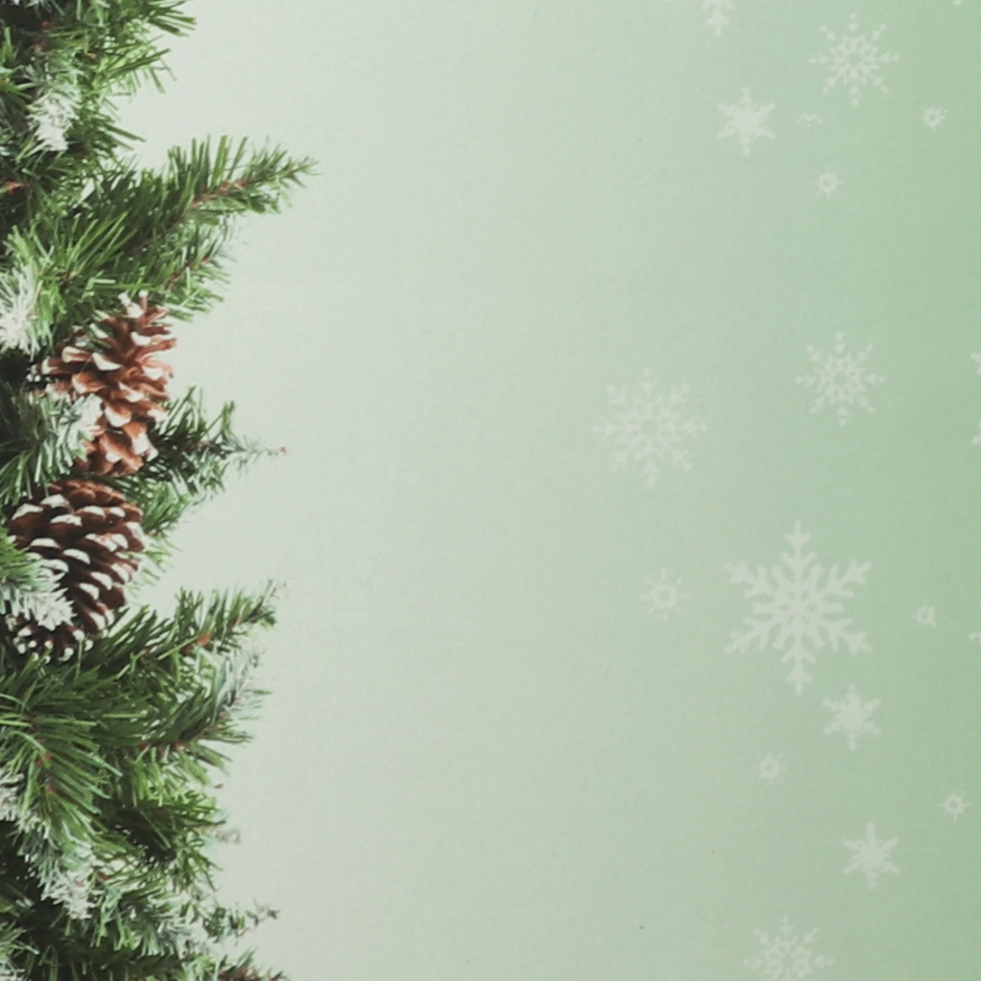 Holiday Tabling - 003 - Green - Image 4