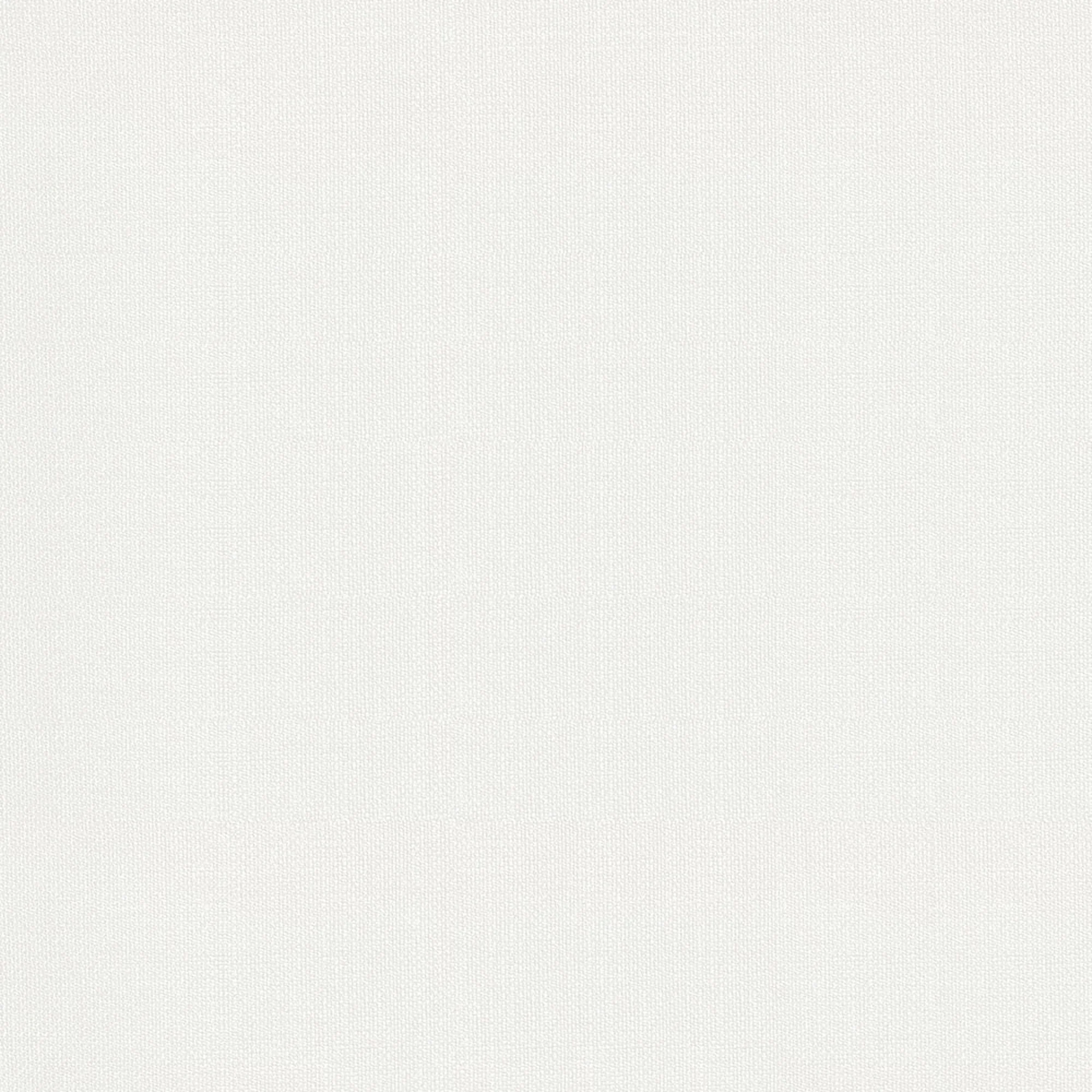 Home Decor Fabric - The Essentials - Wide width Fabric - Fluid - Ivory