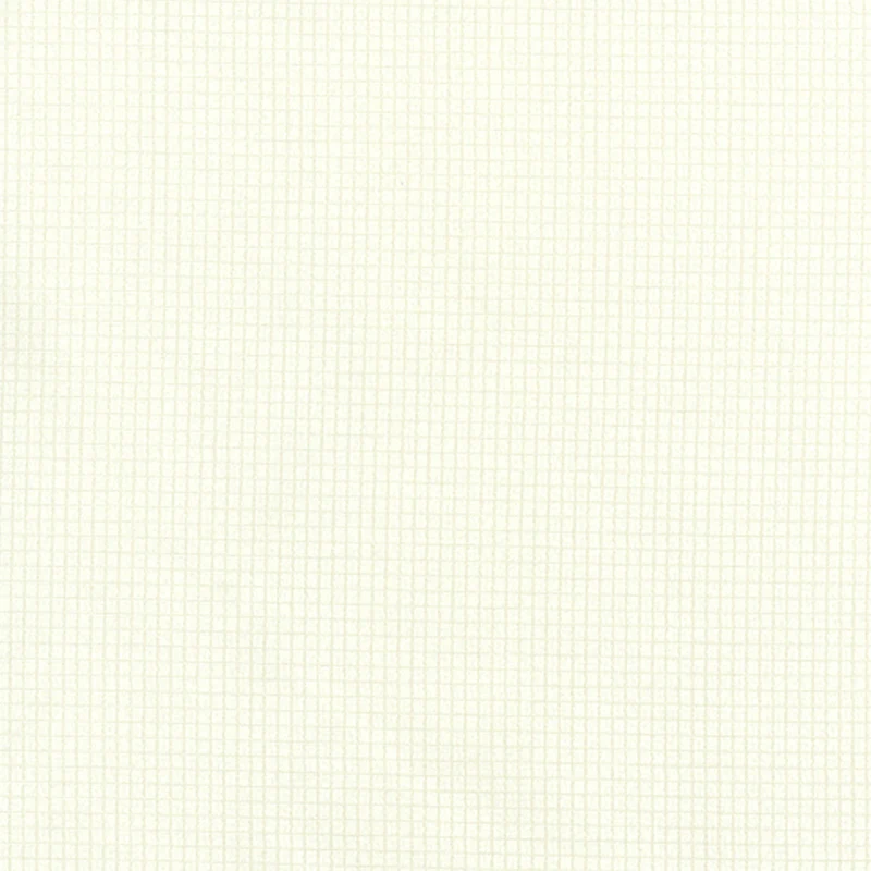 Home Decor Fabric - Signature Transit 8 - ivory