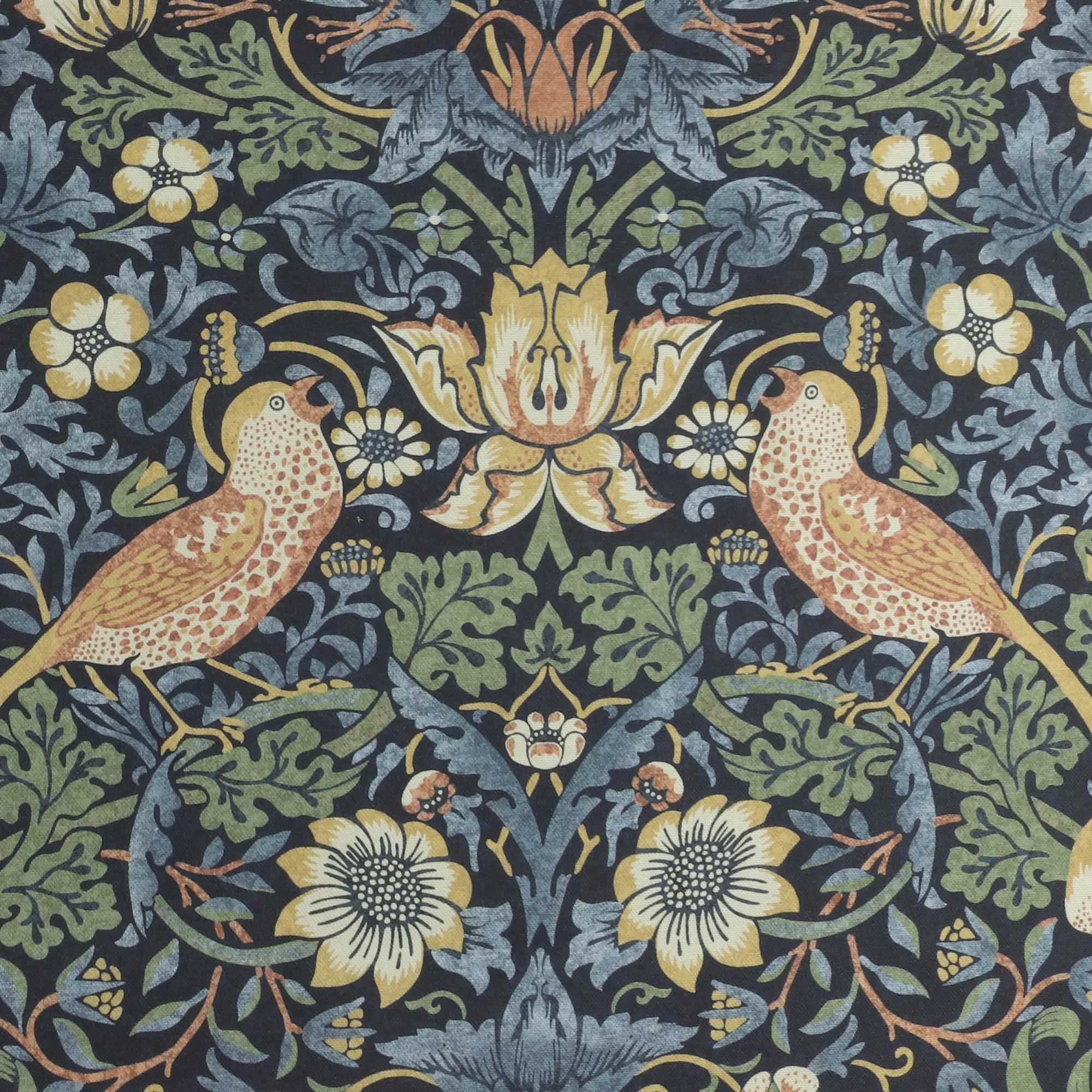Surprise Sale - Drapery